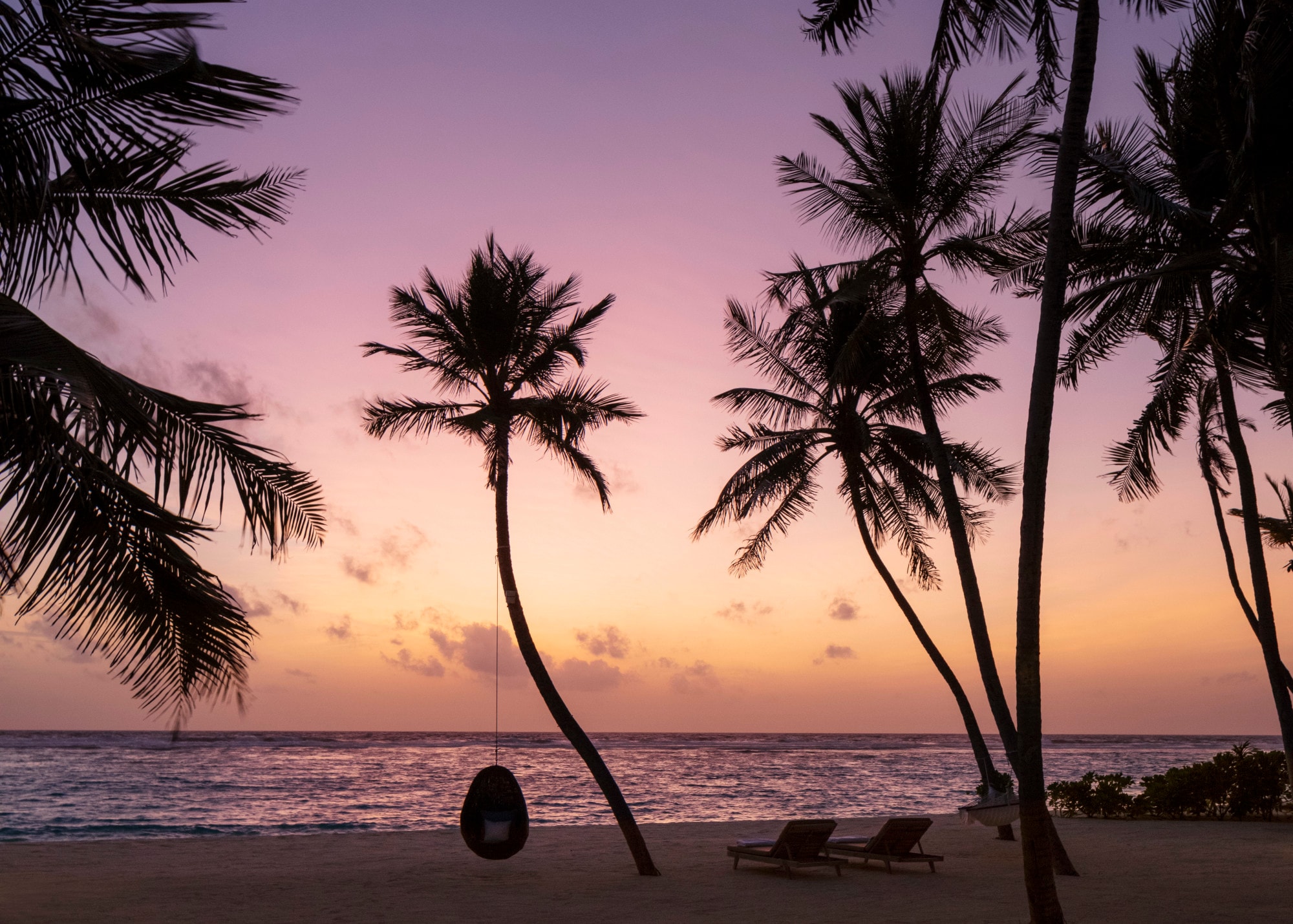 hanging chair overlooking ocean at sunset