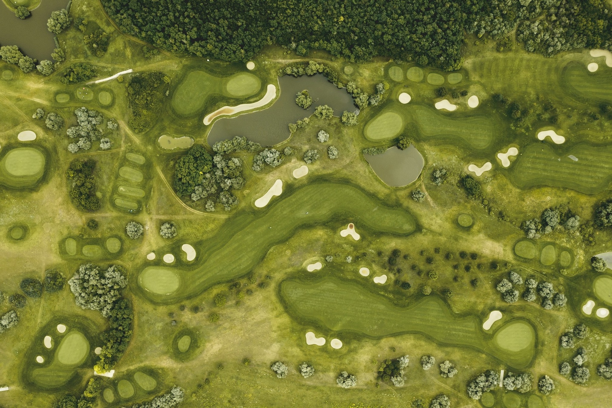 Top view of the golf course at Pannónia Golf & Country-Club.