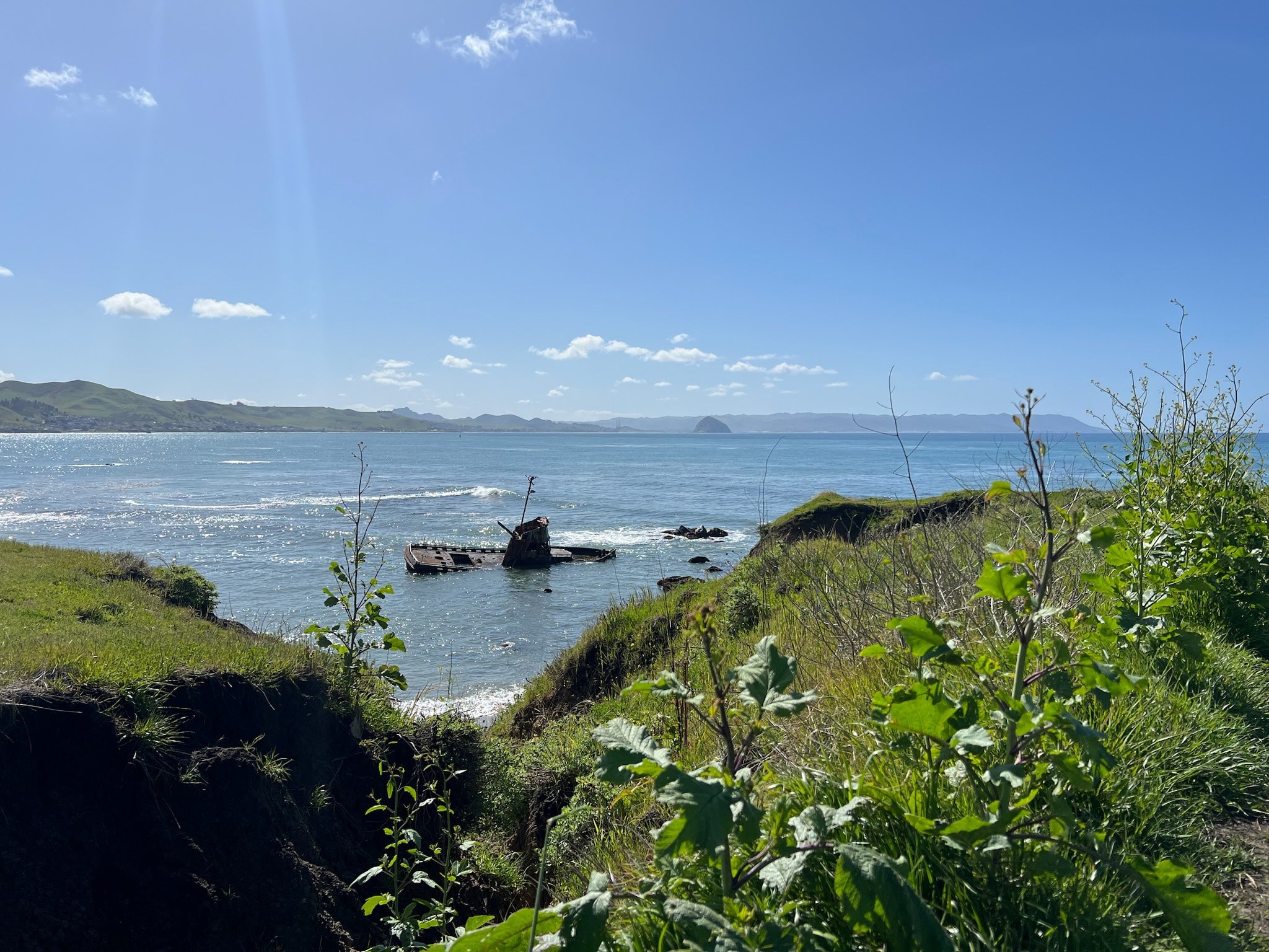 A picturesque coastal landscape with a sparkling sea, lush greenery, and distant hills under a clear blue sky.