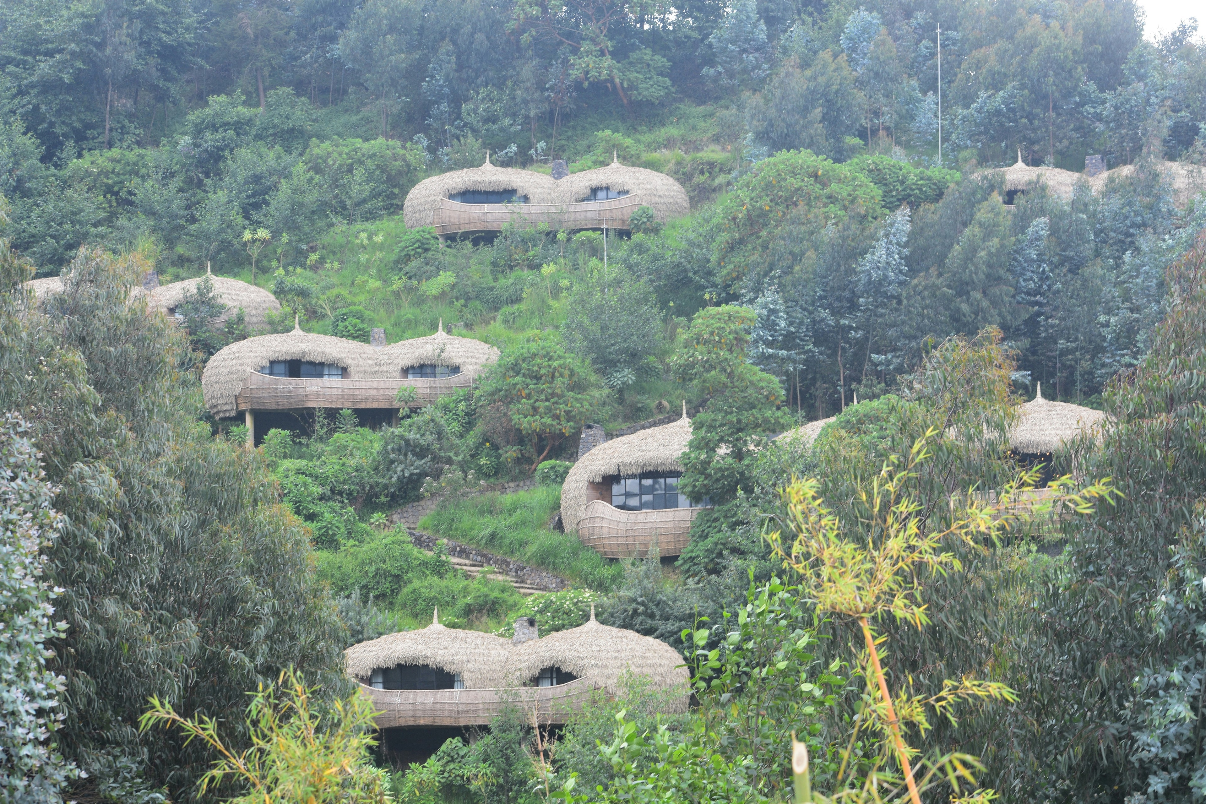 Huts with windows tucked into a green hillside at Bisate Lodge.