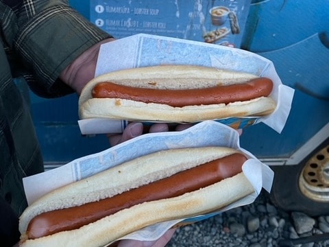 The image depicts someone holding two hot dogs in buns on top of paper outside. 