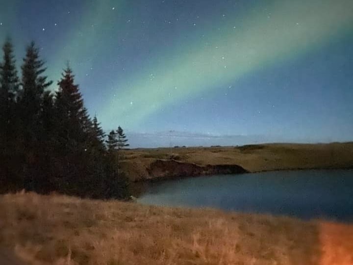 This image depicts the northern lights over brush, pine trees and a lake. 