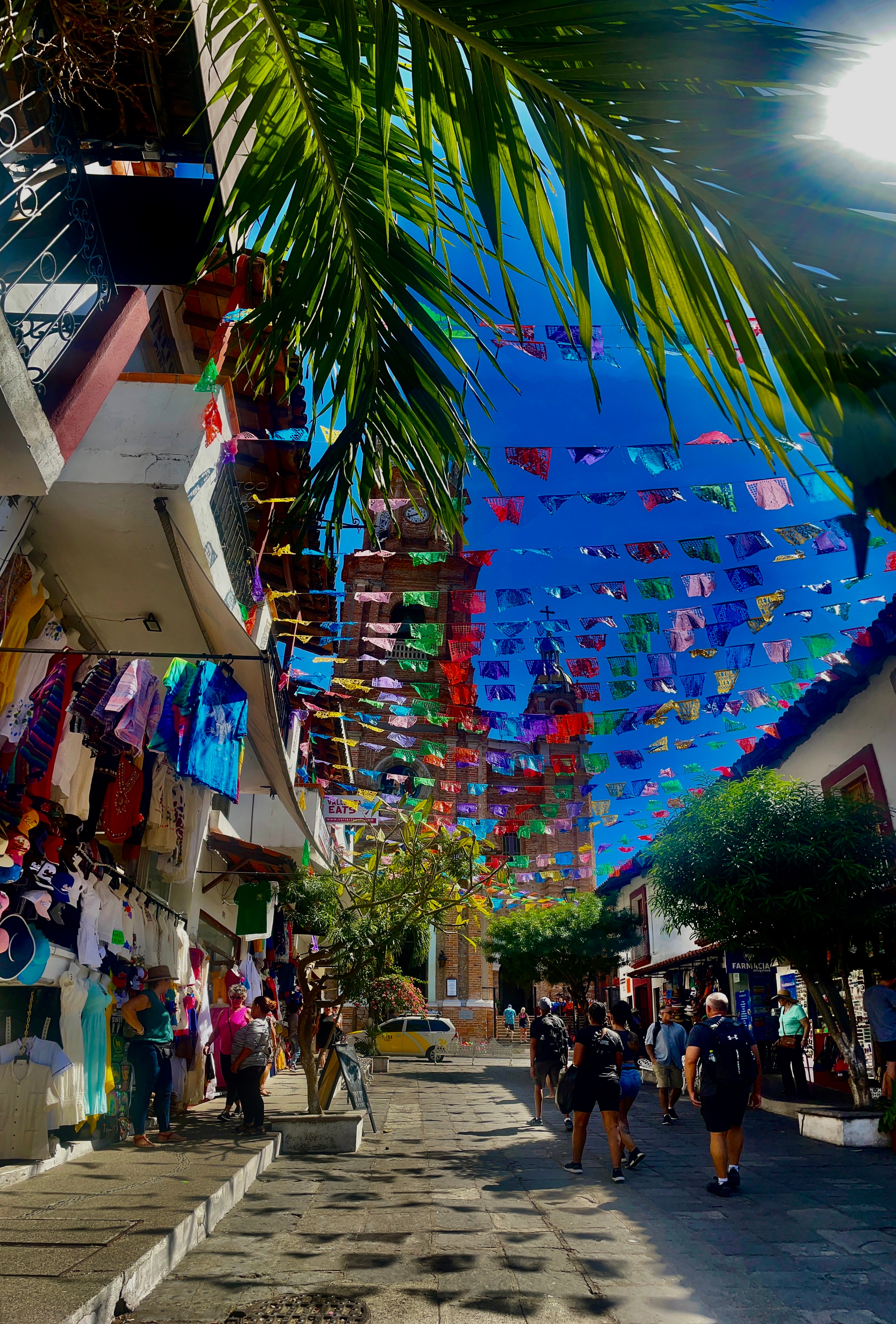 A fishbowl view of a Mexican street with trees, shops, people and papel picados strung between balconies and roofs of buildings. 