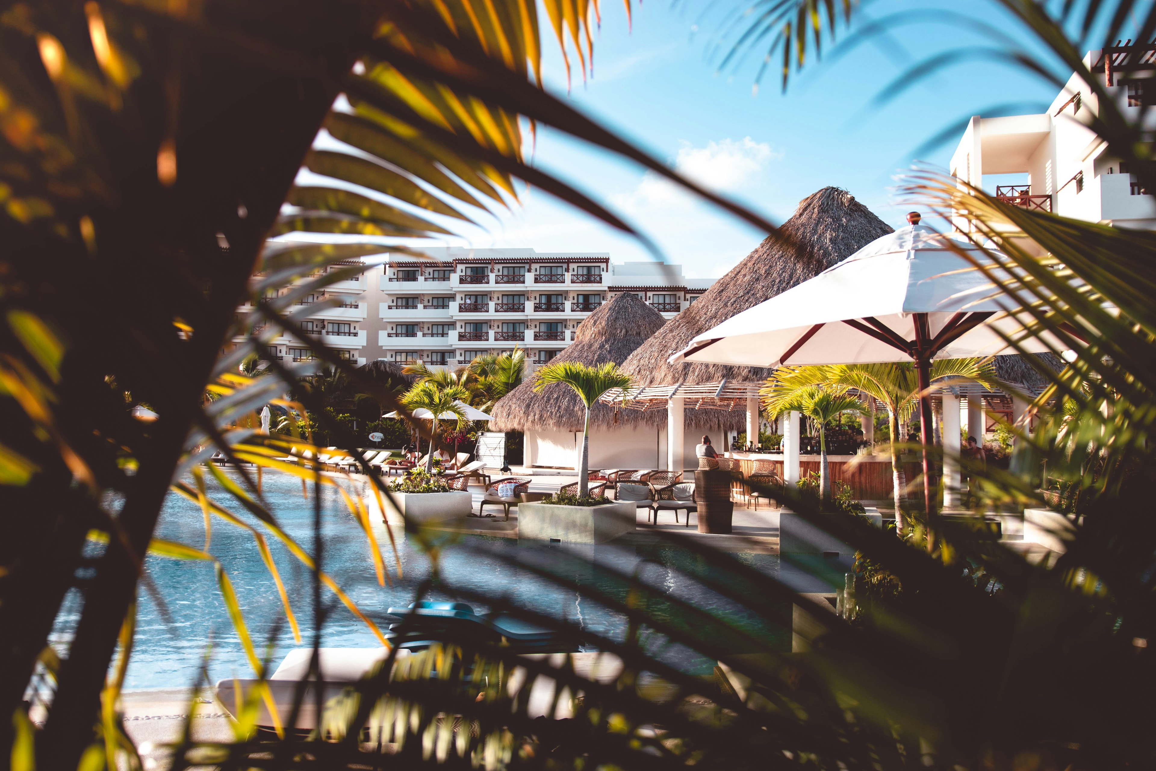 A view of an outside pool area of a resort through palm branches