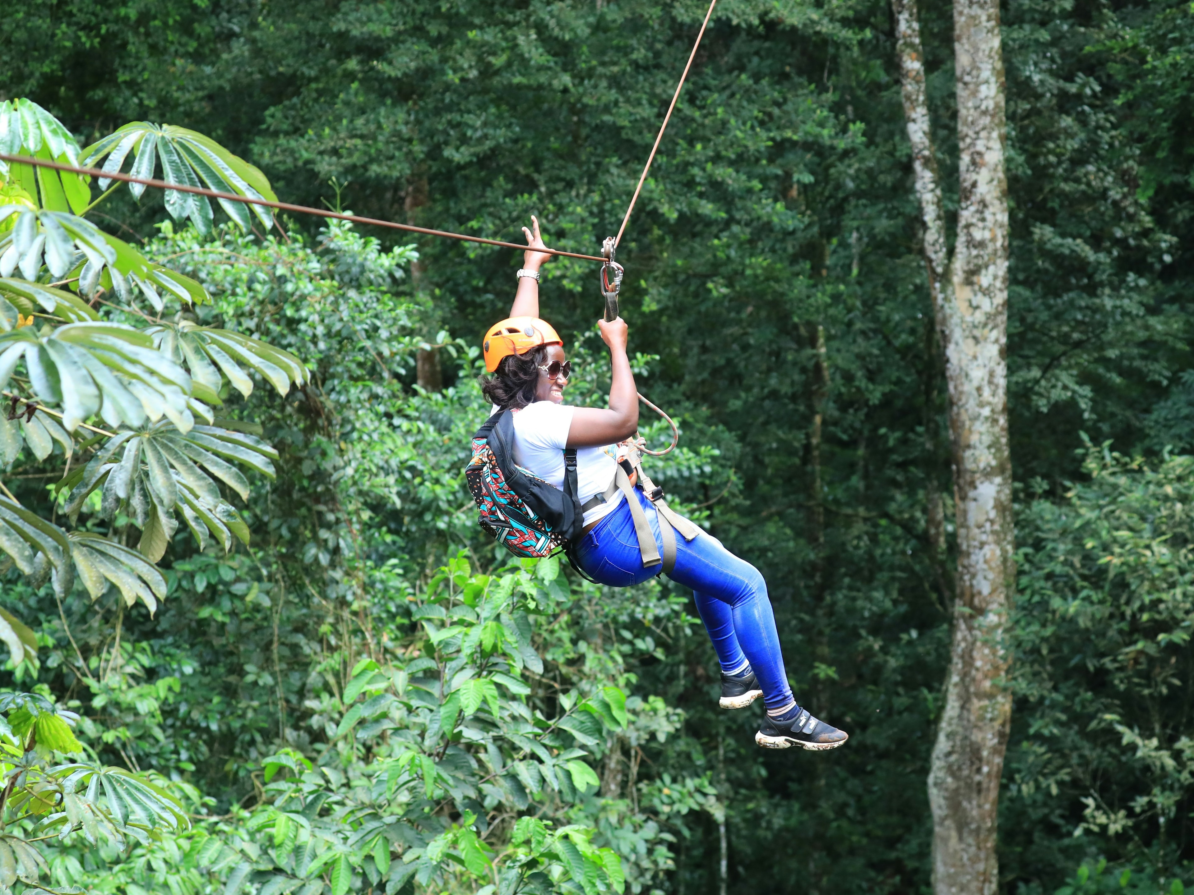 An exhilarating zip-lining adventure amidst lush greenery.