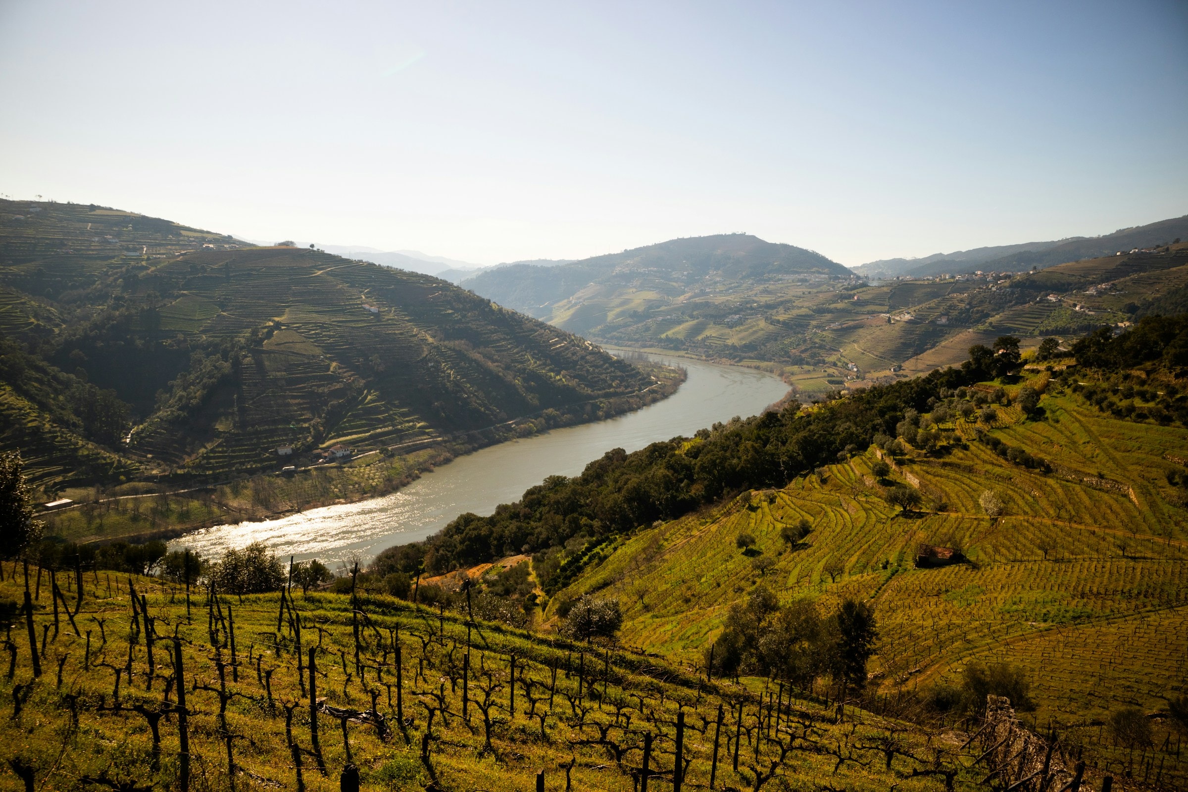 A river running through the green and serene Douro Valley on a sunny day. 