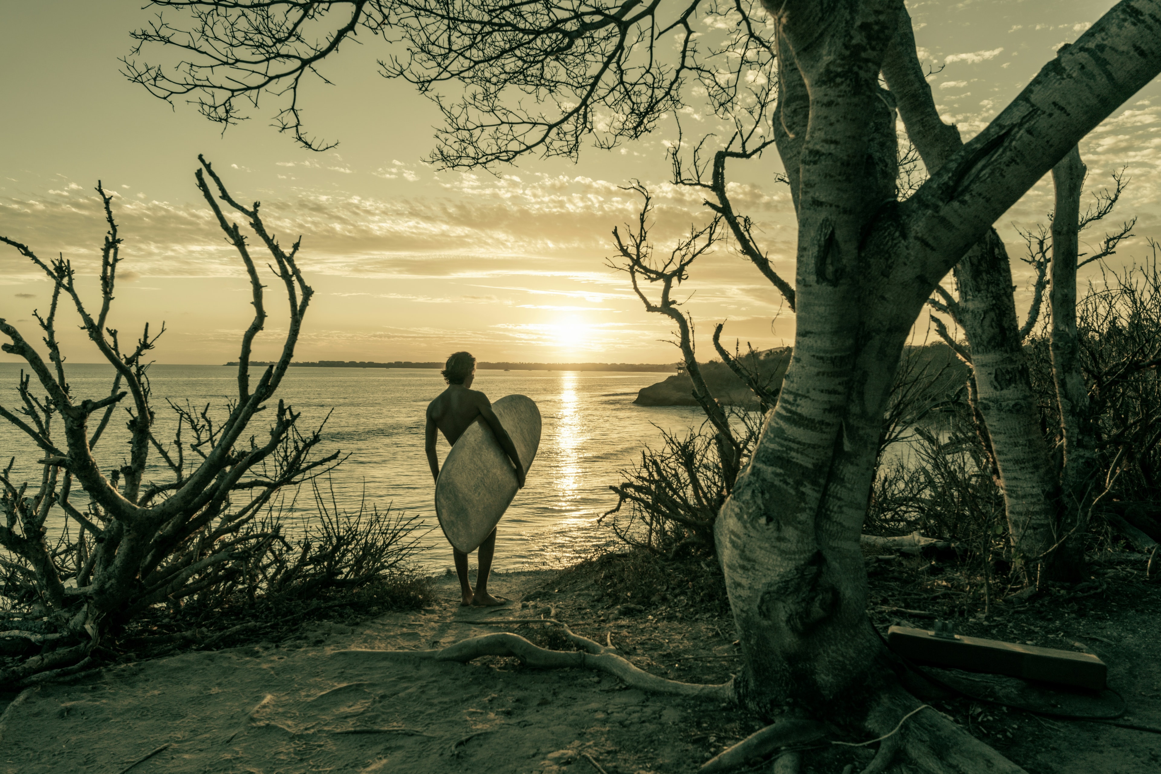 A lone, male surfer and board on a Mexican beach, drenched in a sepia-toned sunset, surrounded by trees and plants.