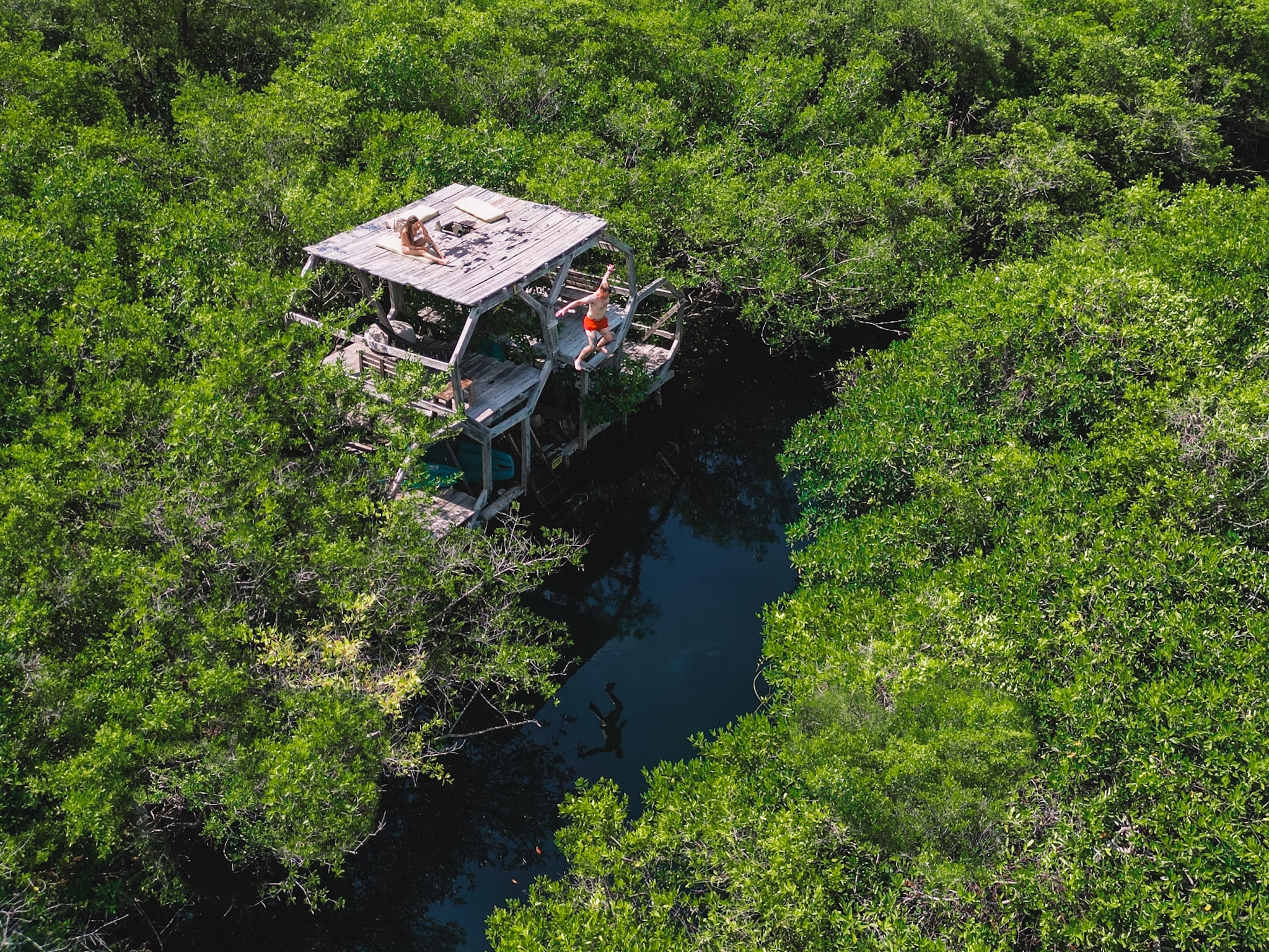 This image depicts a wooden treehouse in the middle of a lush, green forest with a body of water peeking out from the middle of the image. 