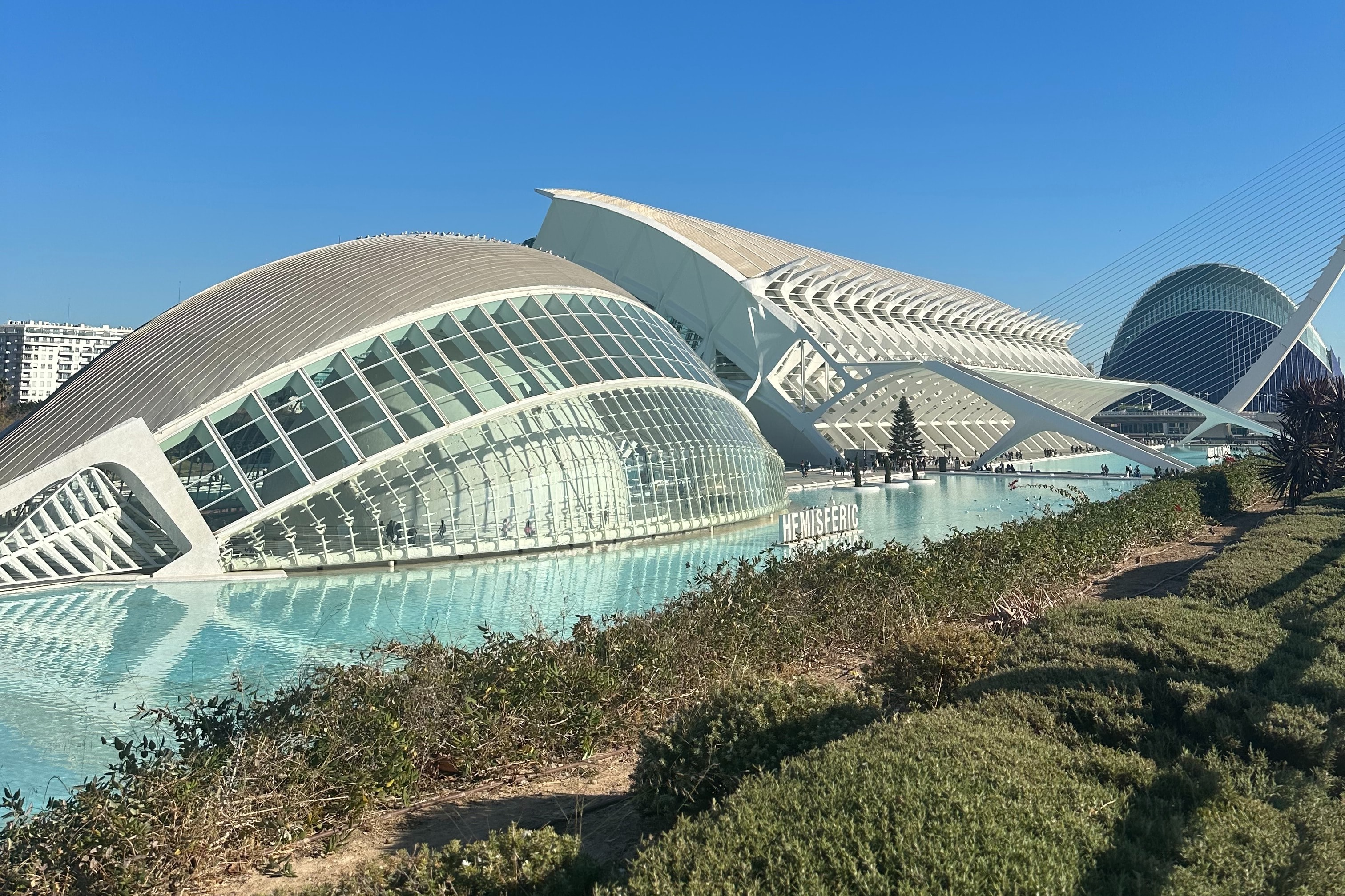 City of Arts and Sciences (Ciudad de las Artes y las Ciencias) has an amazing architectural design.