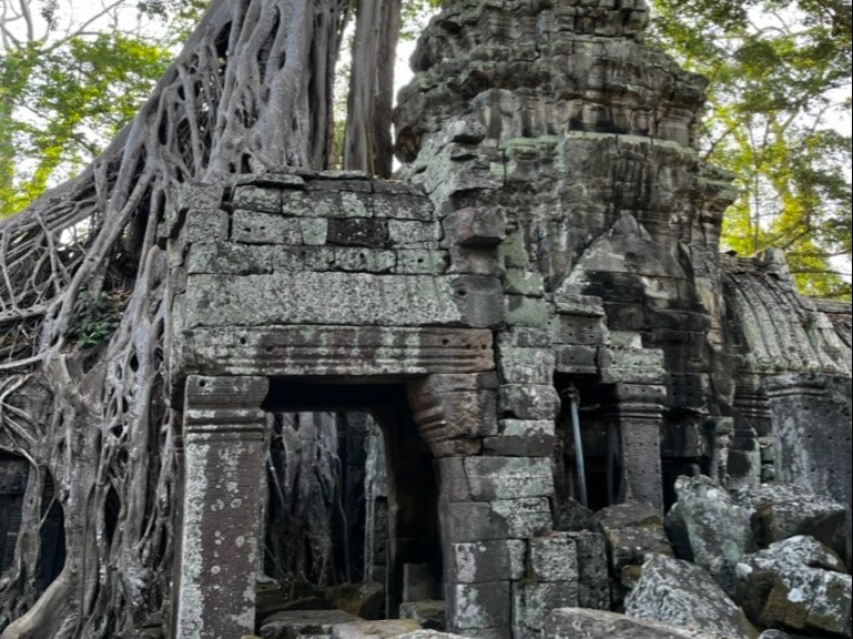 An ancient temple entrance intertwined with sprawling tree roots, evoking a sense of history and nature’s embrace.