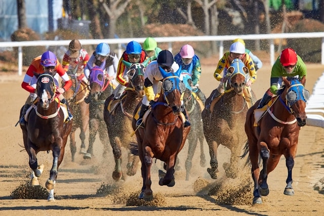 Multiple horses running in line in a race