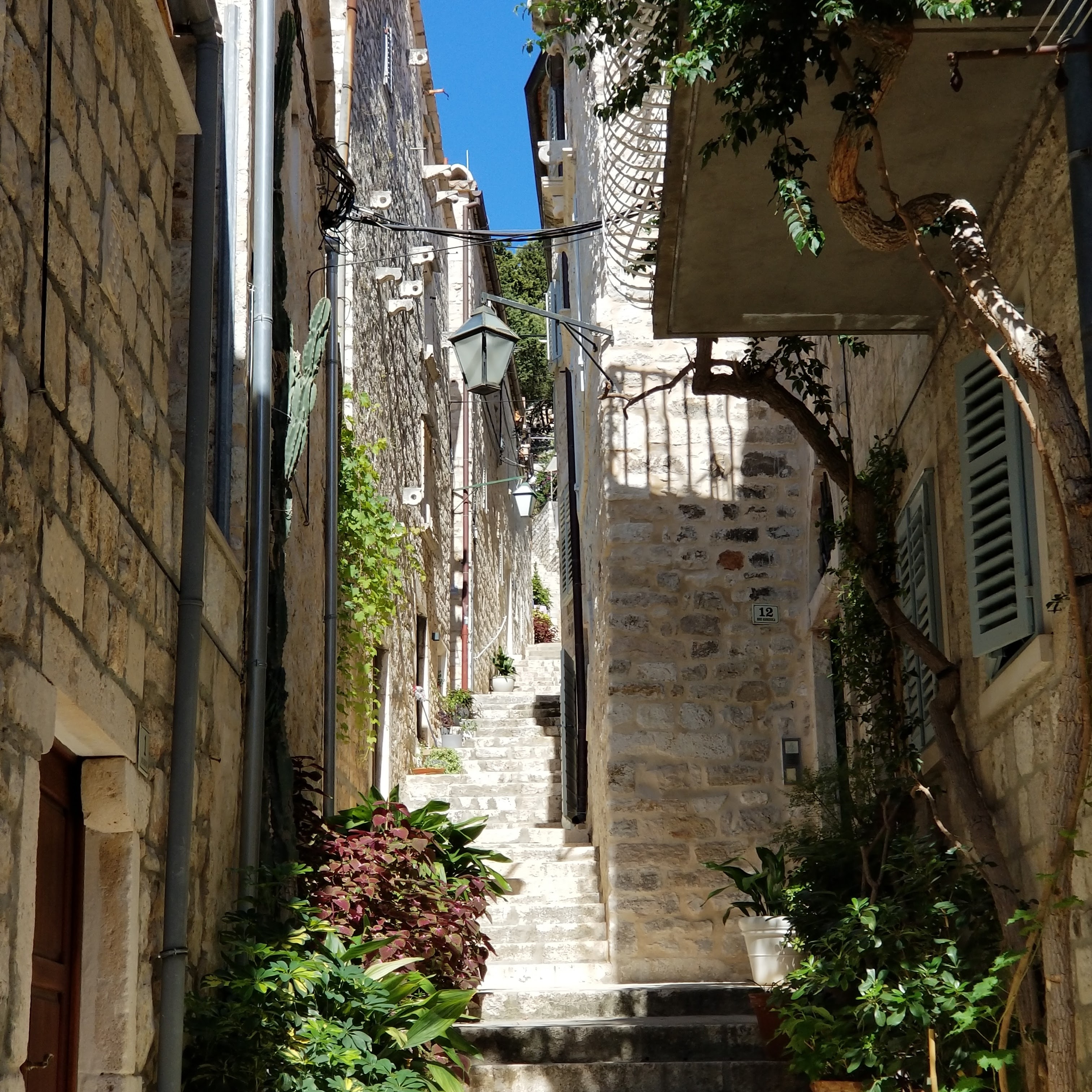 An alleyway with brick buildings and trees.