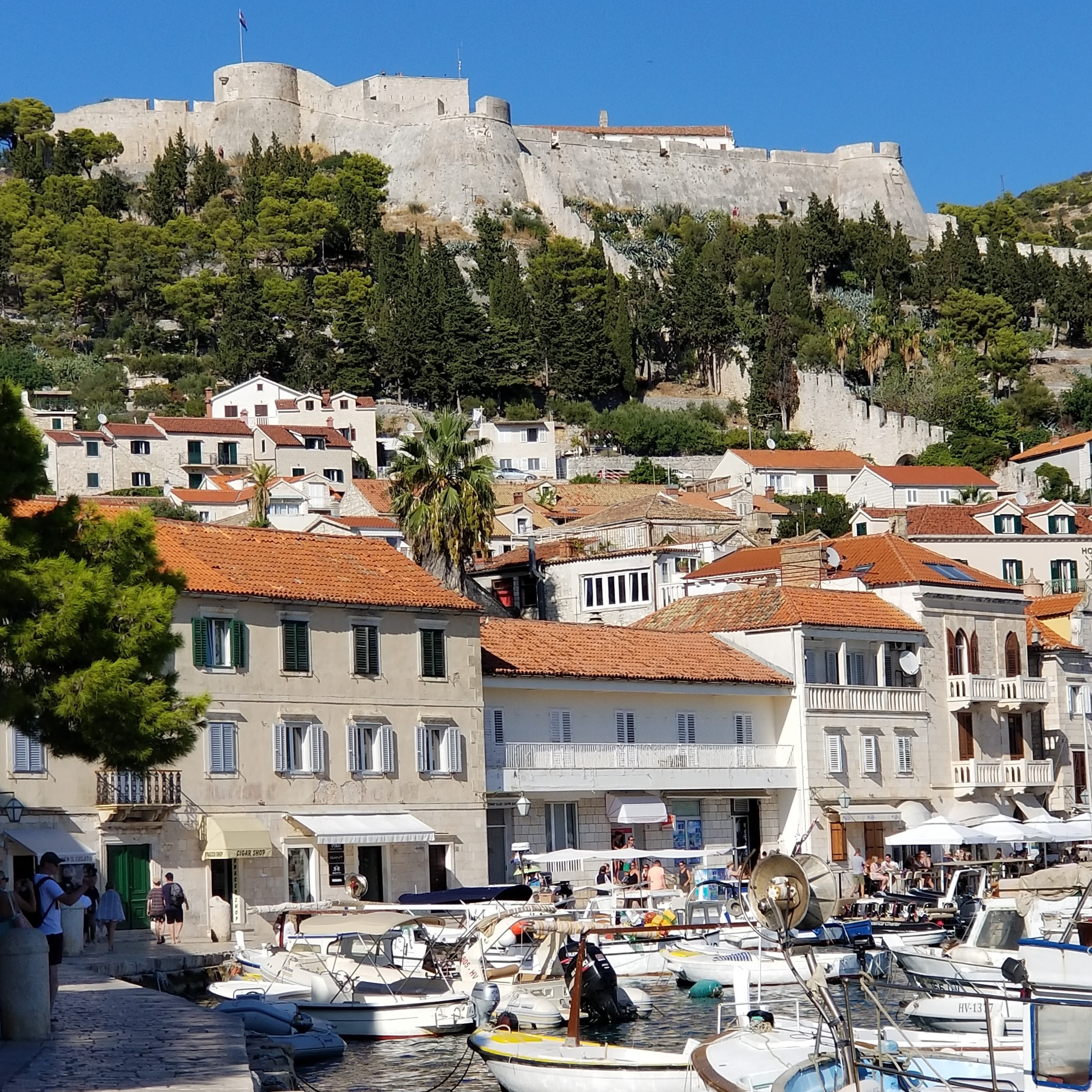 A hillside with red-roofed buildings and boats in the harbor.