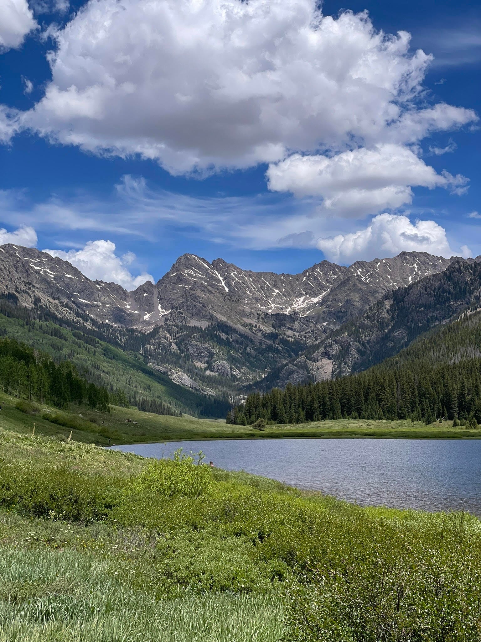 Beautiful view of a lake, field and mountains