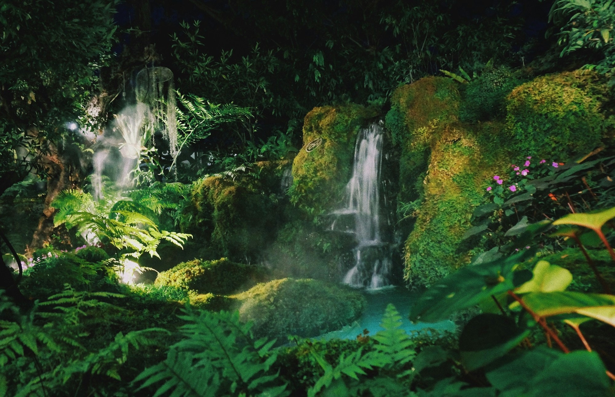 Waterfall in a green forest.