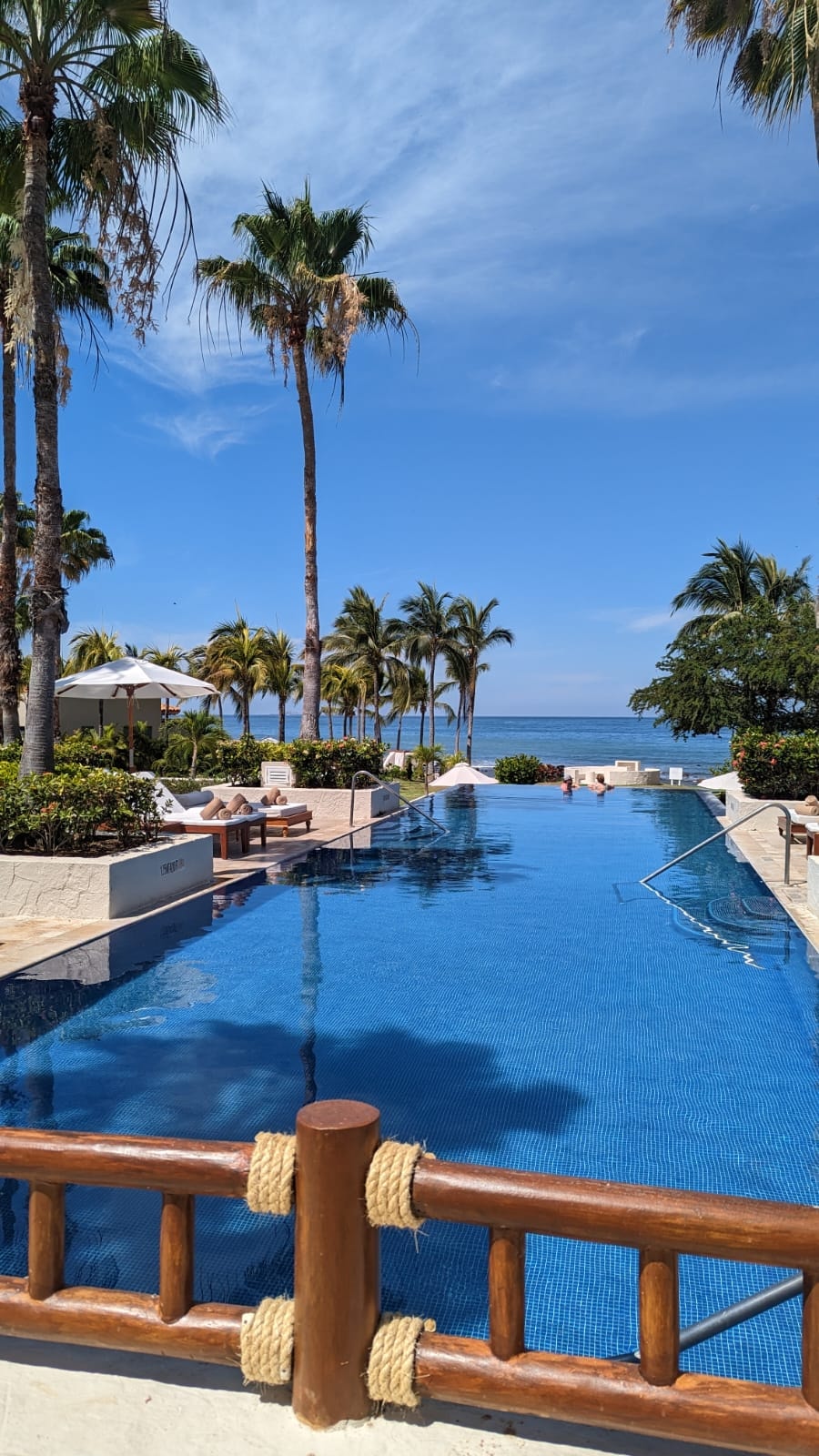 A pool area surrounded by palm trees during the daytime