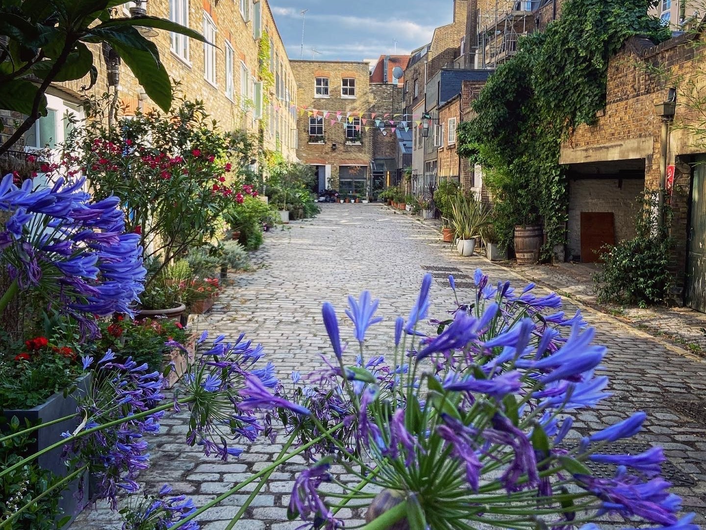 Purple flowers in the forefront of a brick road surrounded by old stone buildings, potted green plants and lots of vines. 