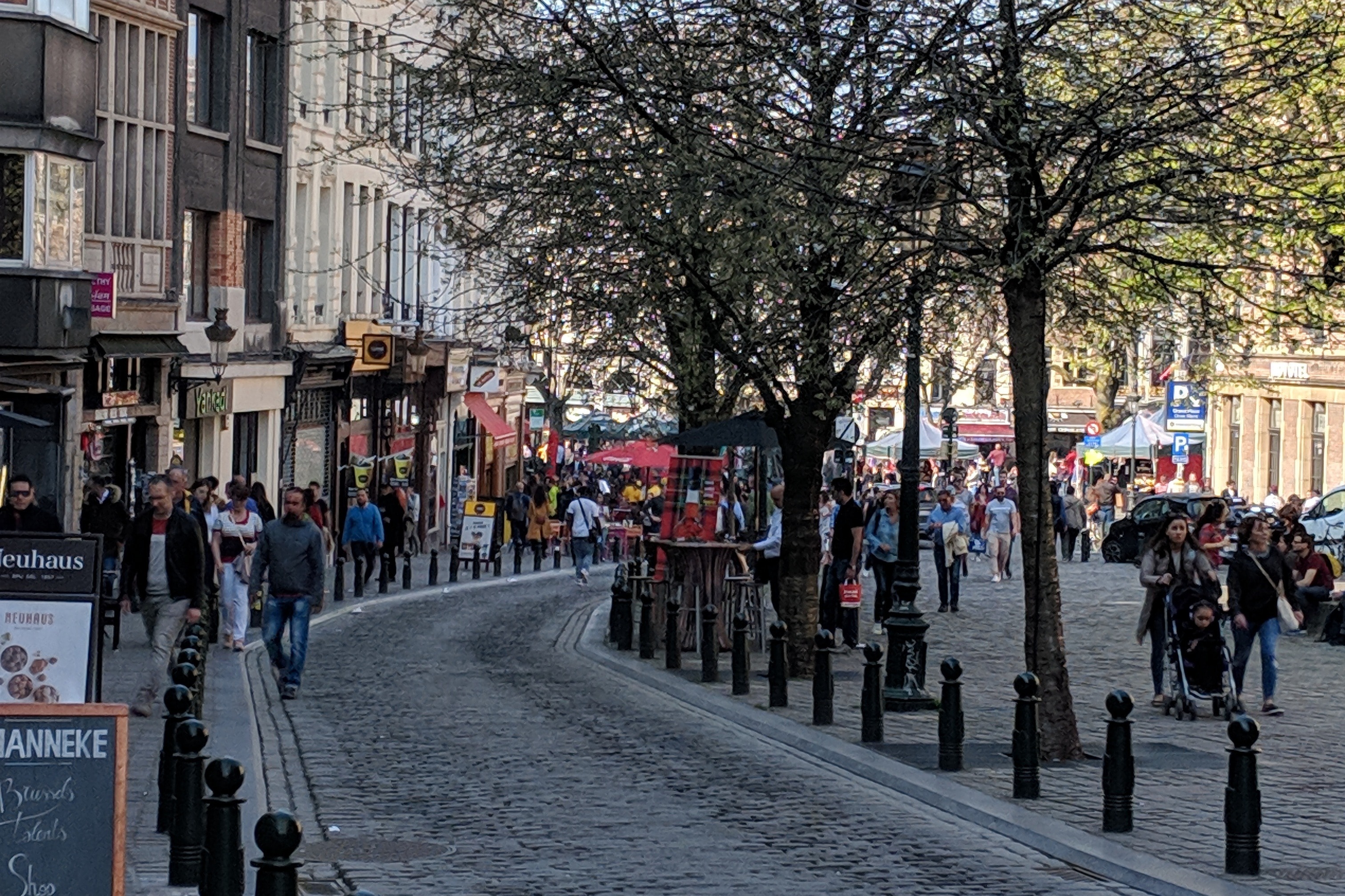 A cobblestone pedestrian street with shops on one side, trees on the other and lots of people.