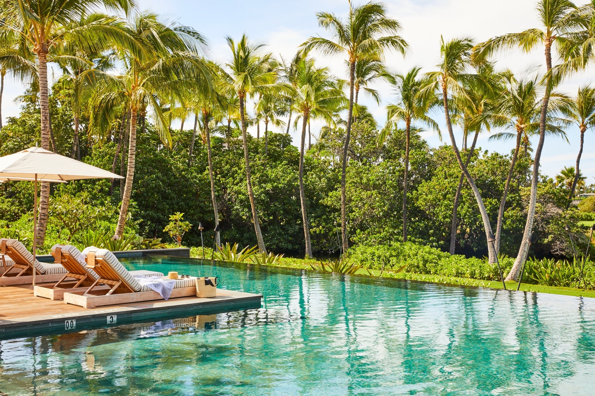 sleek infinity pool surrounded by palm trees