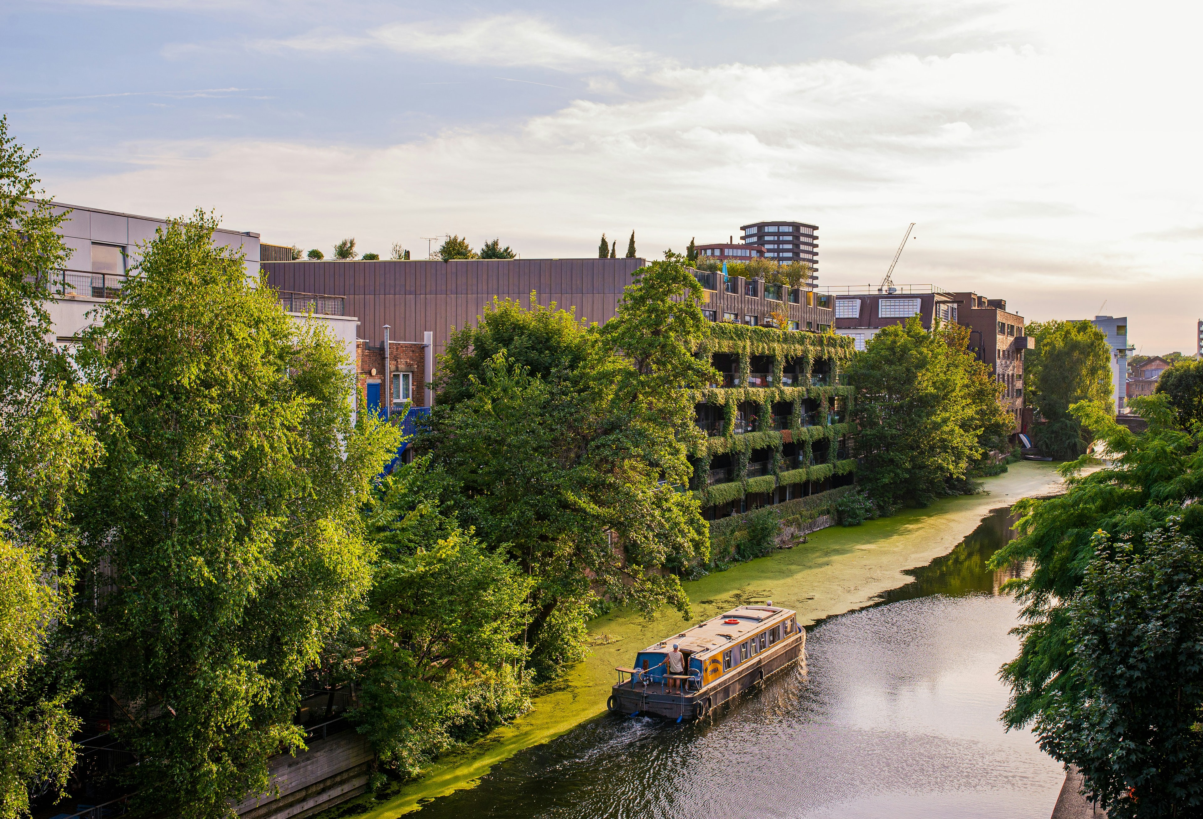 Body of water beside green trees during the daytime