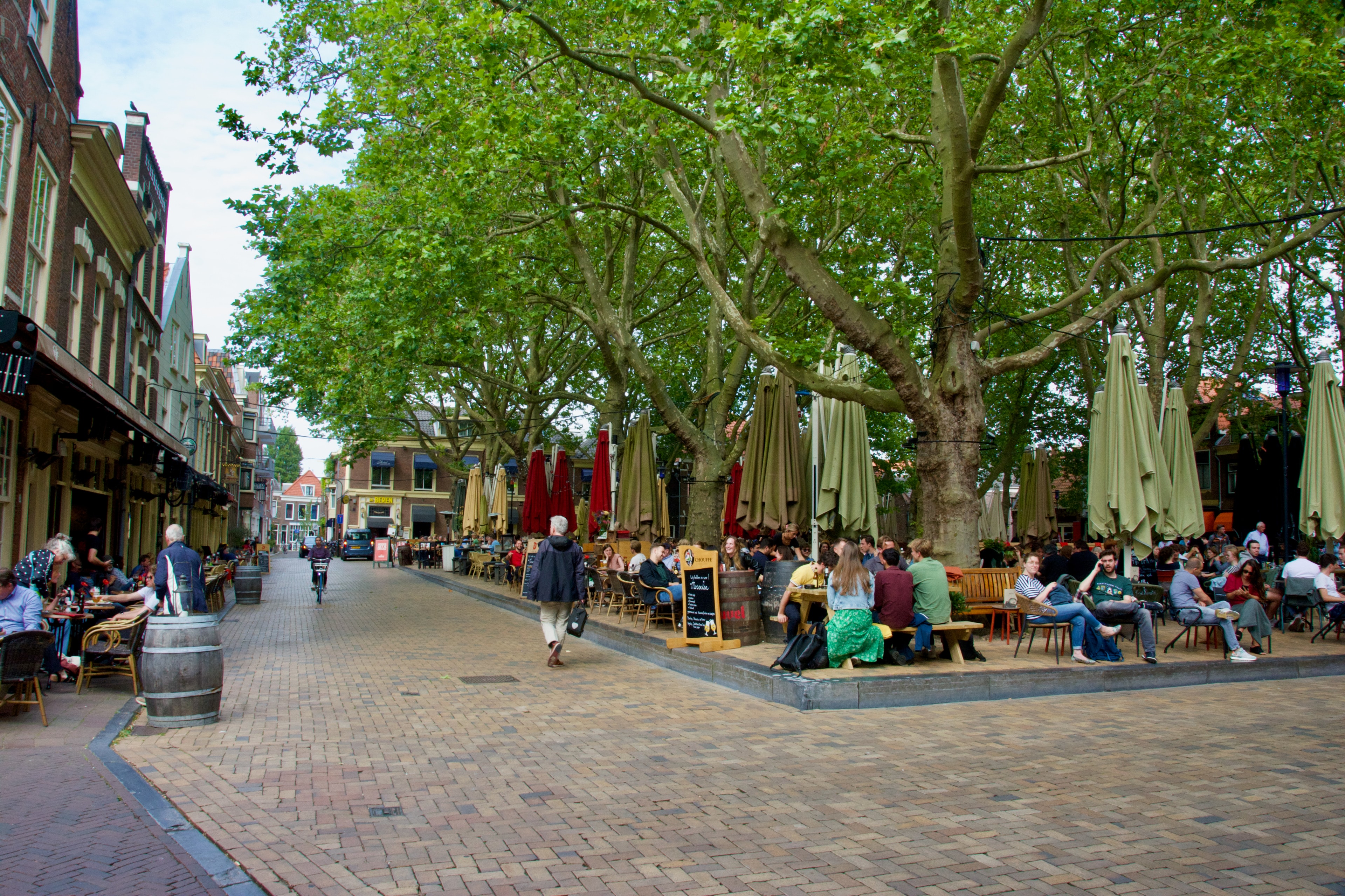 An image of De Beestenmarkt with several bars and restaurants for outside dining surrounded by large trees. 