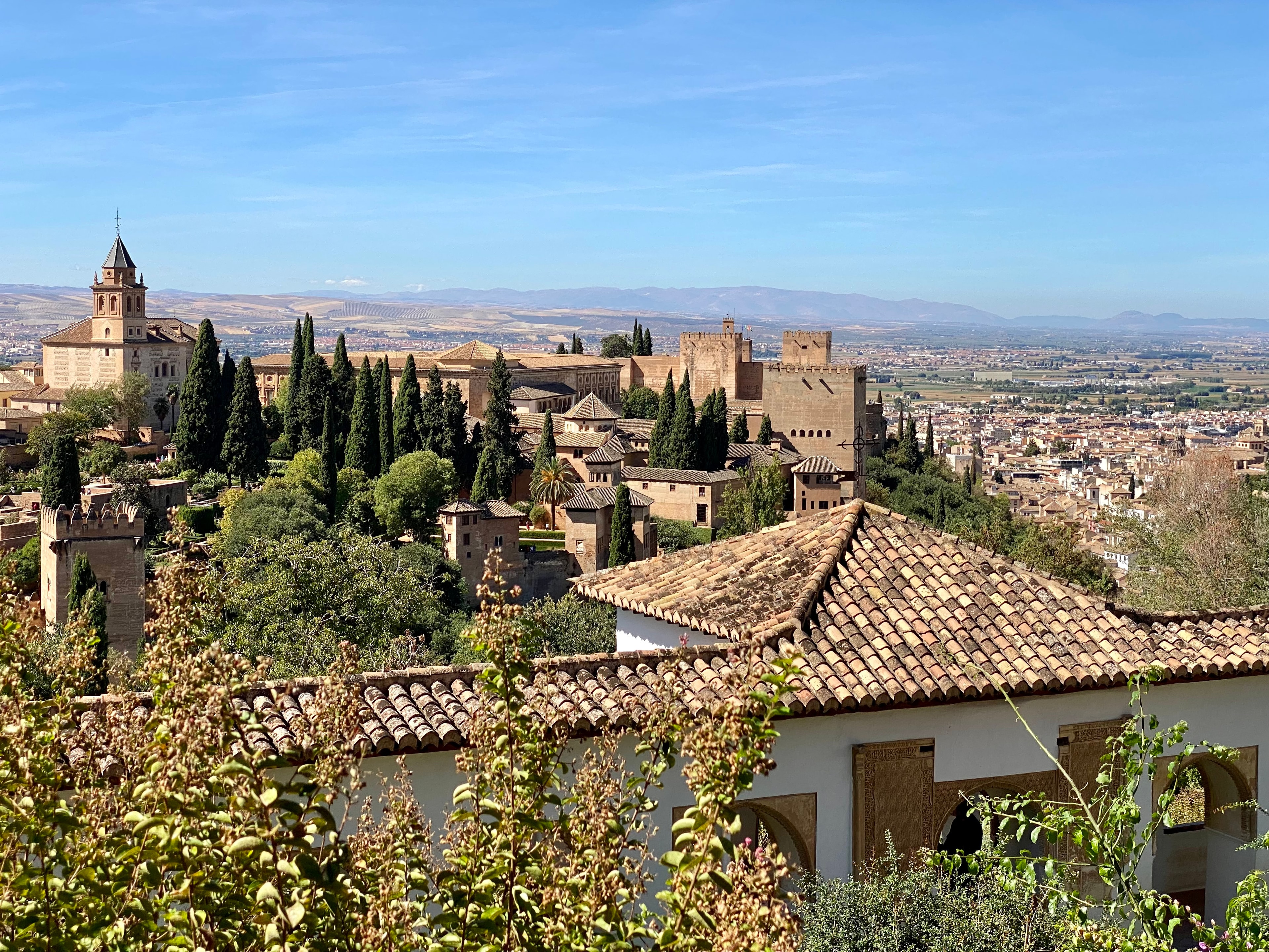 View of the city