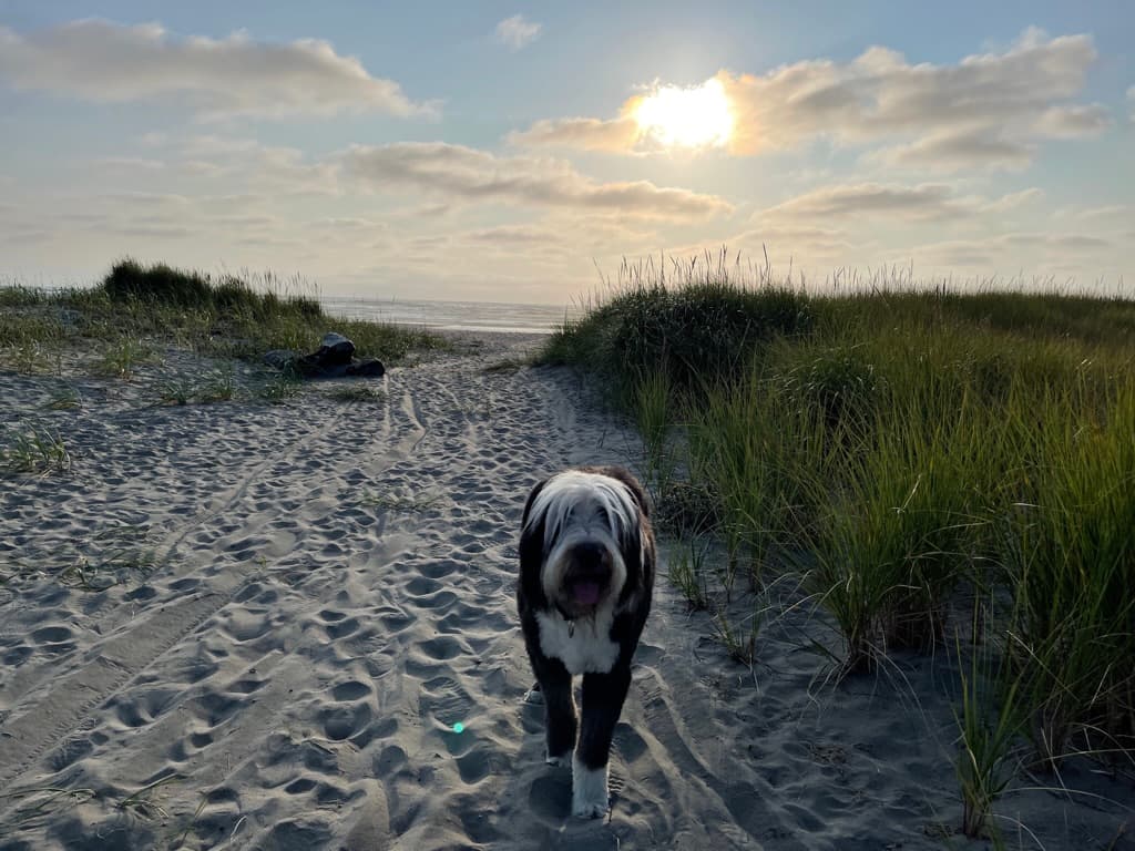 sunset