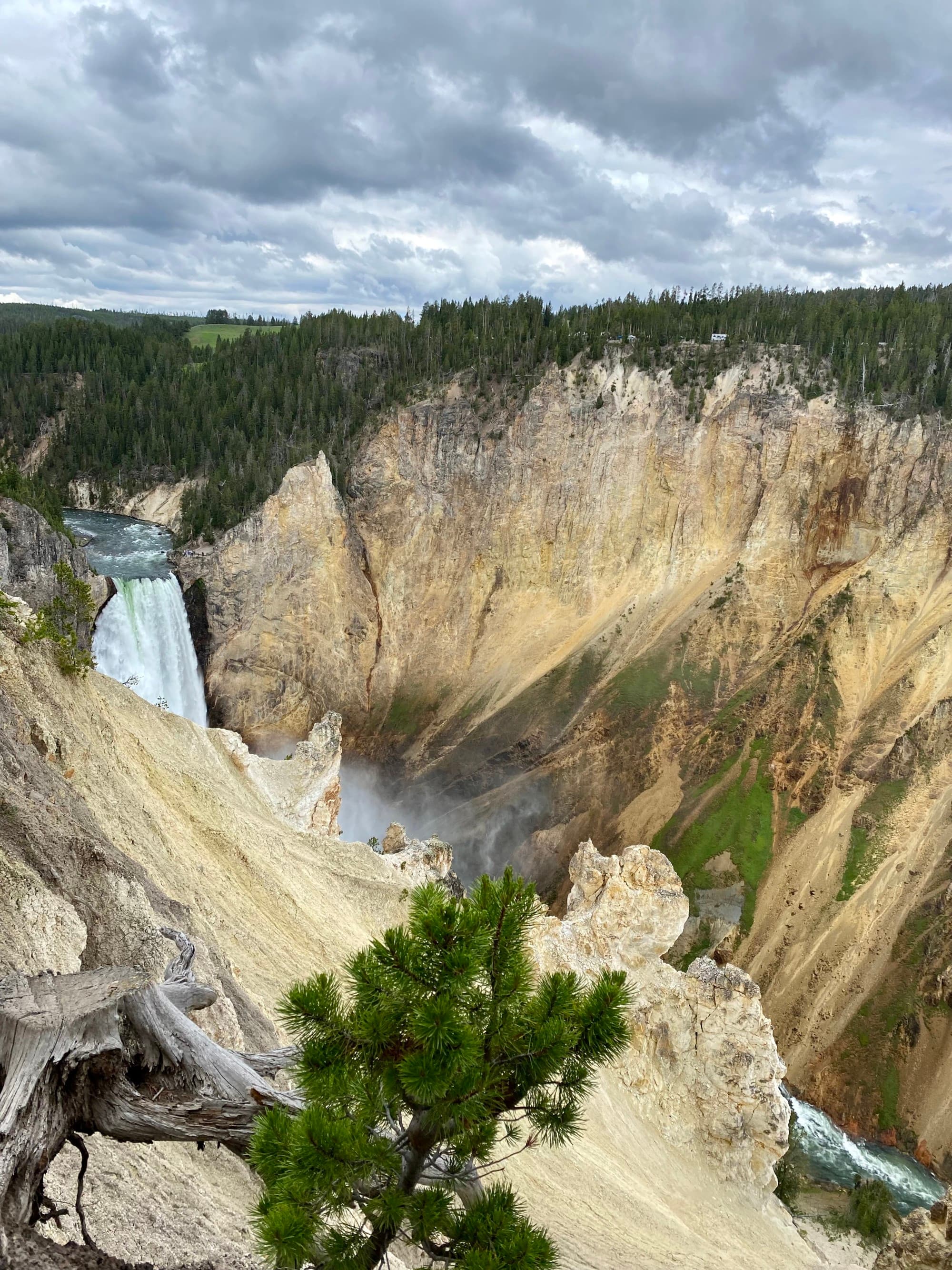 Rocky mountains with green trees on top.