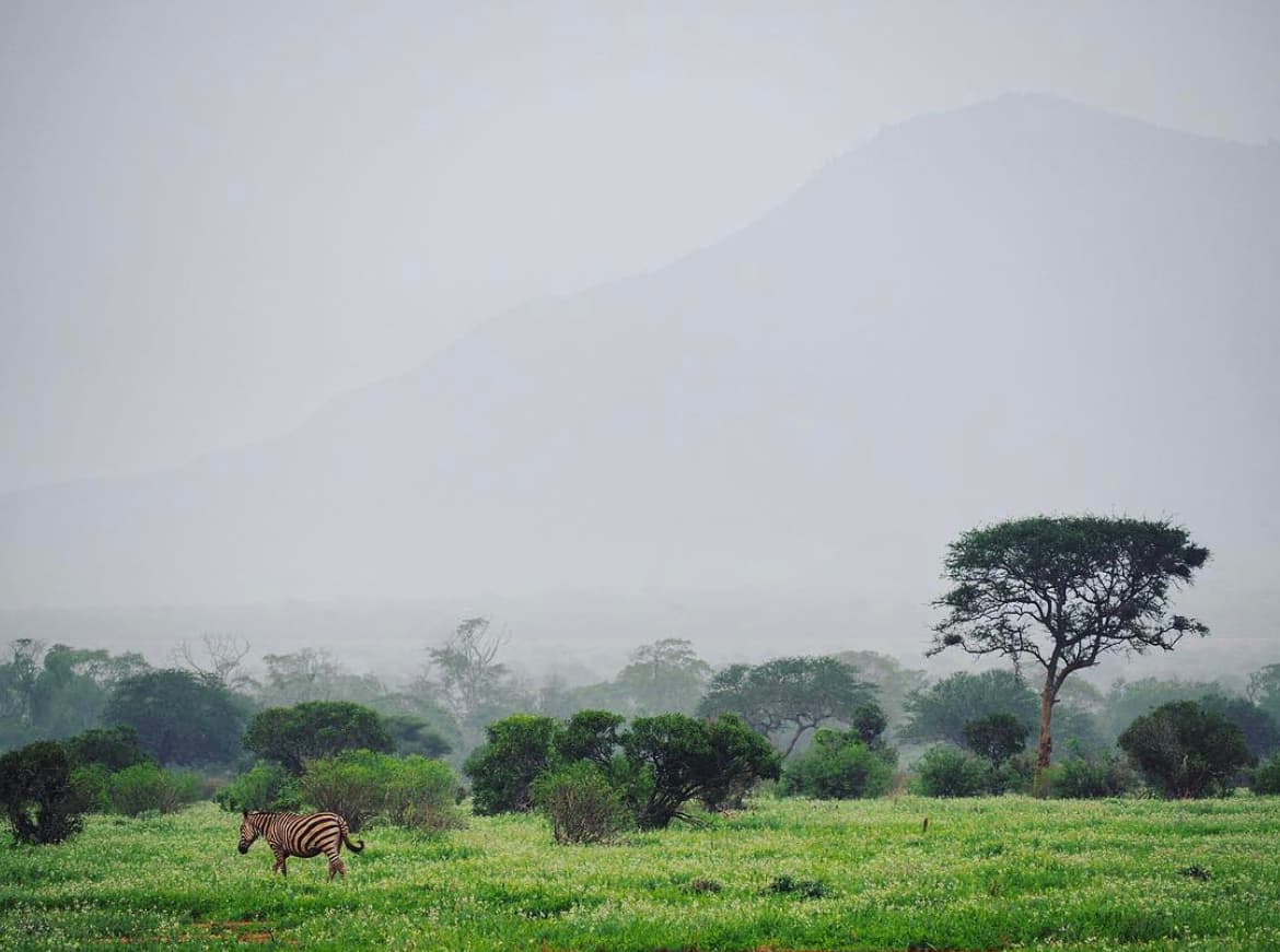 View of a valley