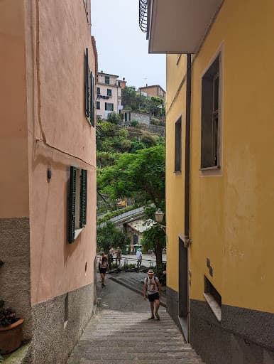 orange and yellow street