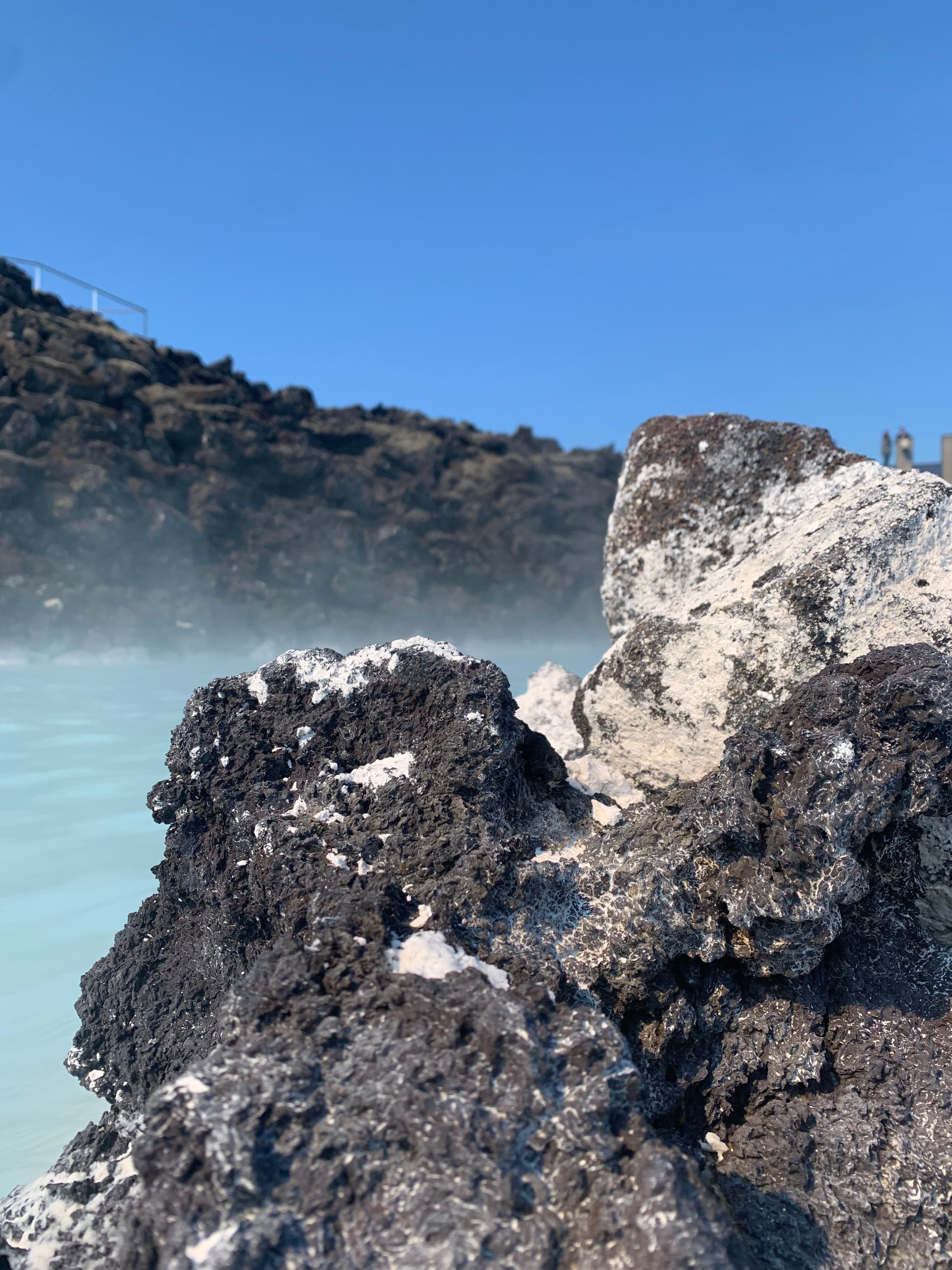 Blue sea water next to trees and a large white house tucked into a rocky coastline