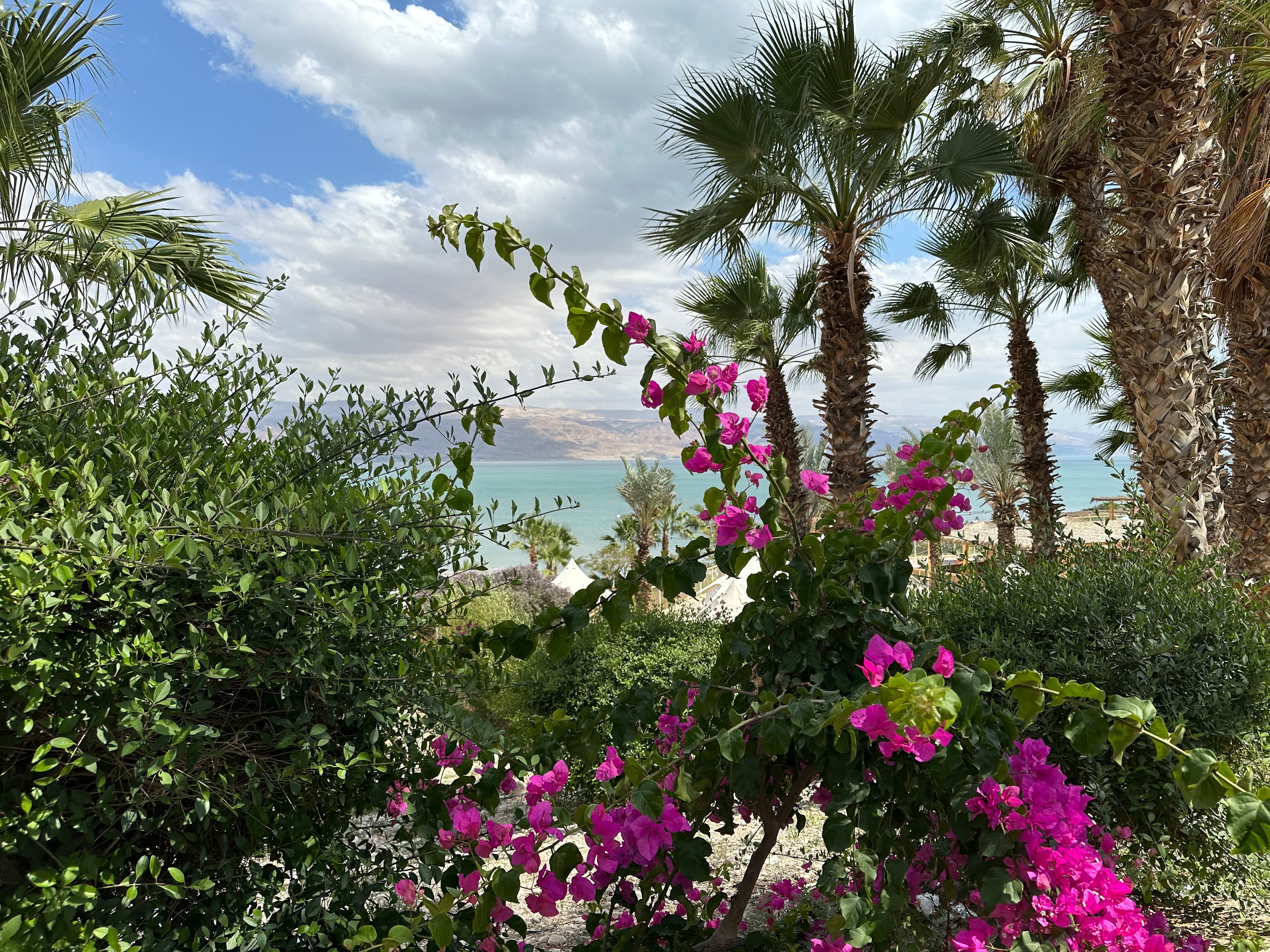 A beautiful view