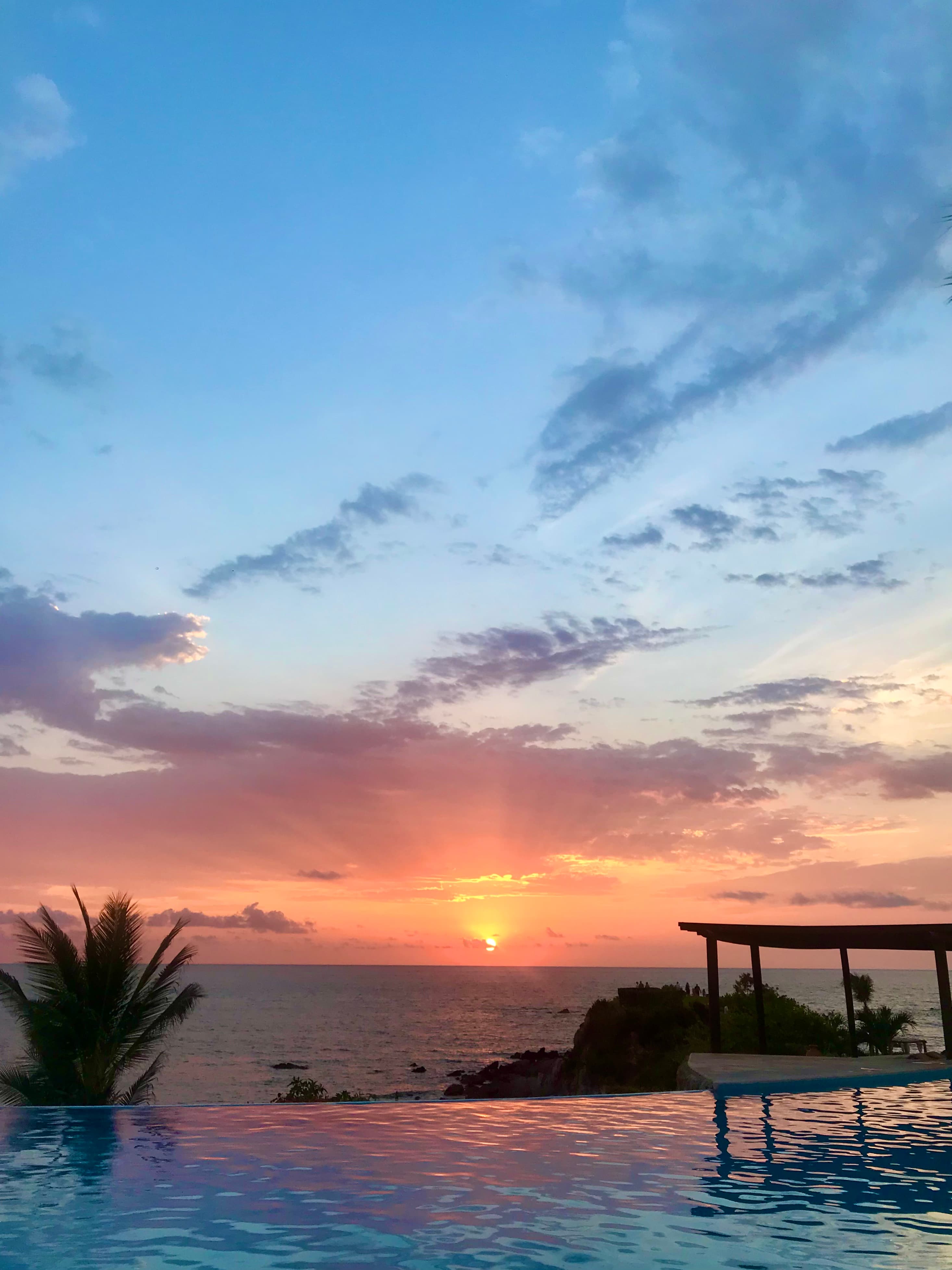 An orange and blue sunset view with a palm tree and swimming pool
