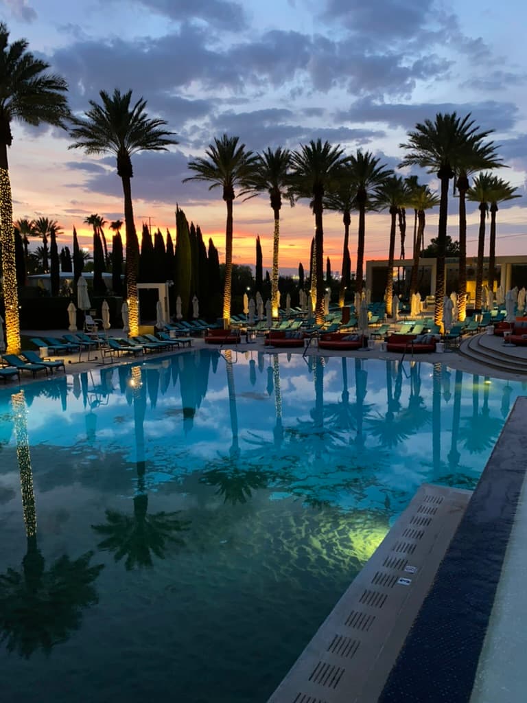 Beautiful view of water and trees at sunset