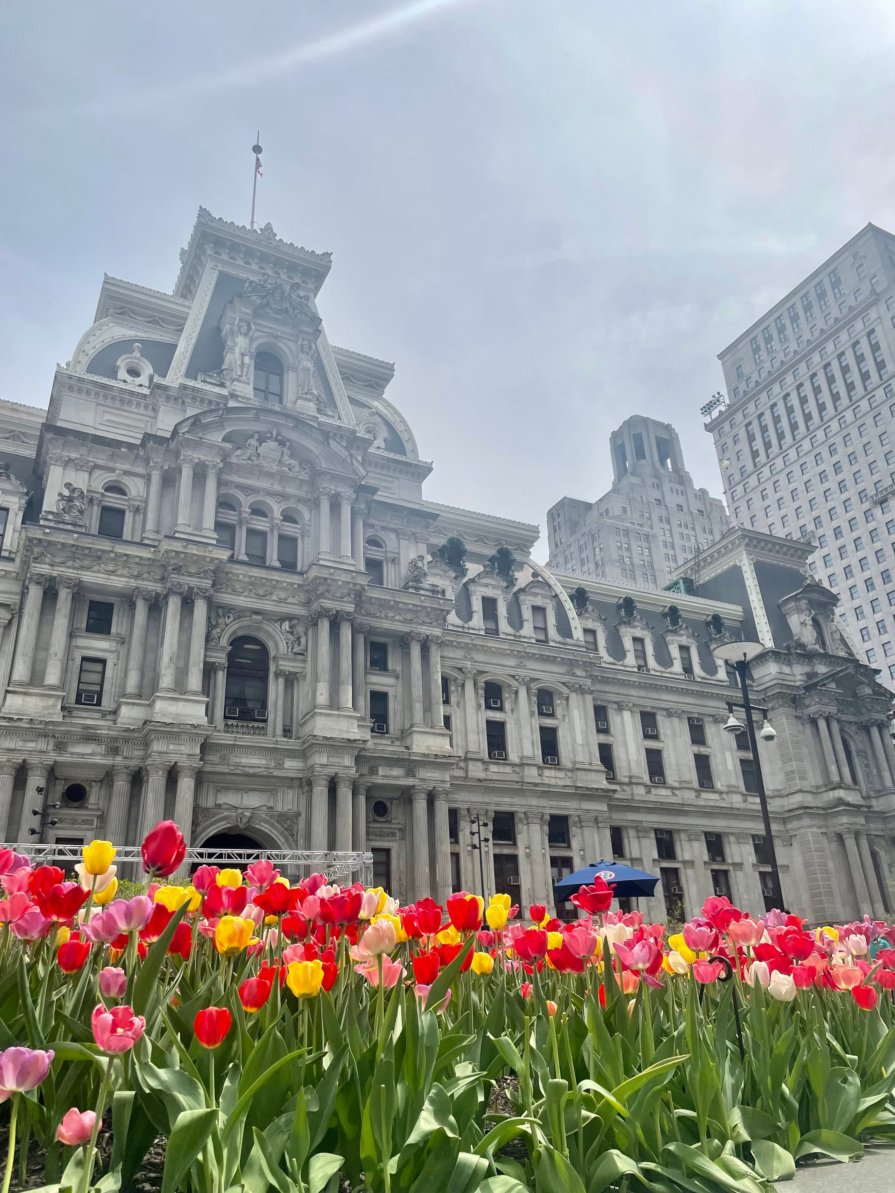 tulips in front of building