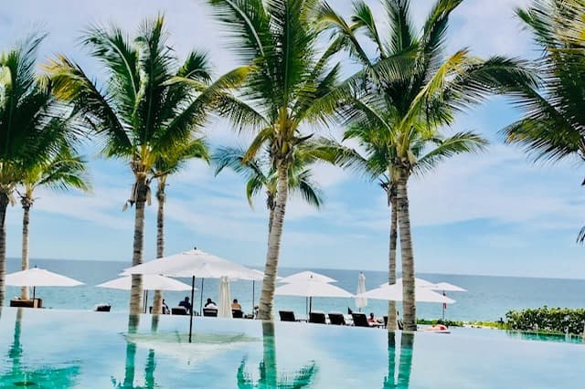 Palm trees on the beach