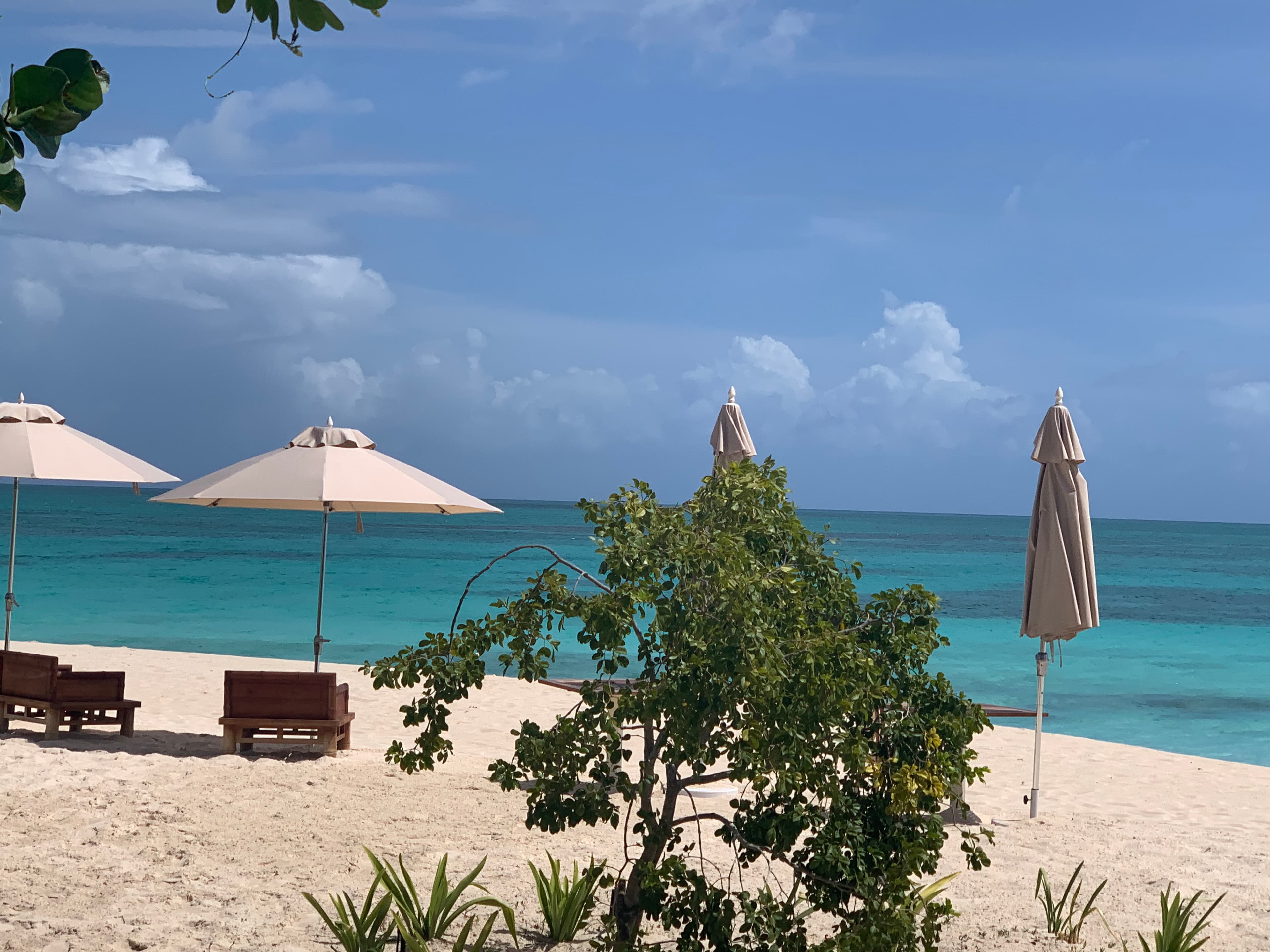 Karen-Turbidy-travel-1