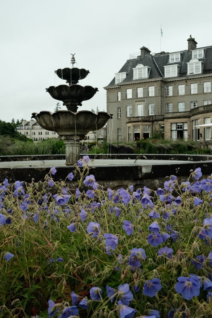View of a French-style palace with a fountain and flower garden in front of it