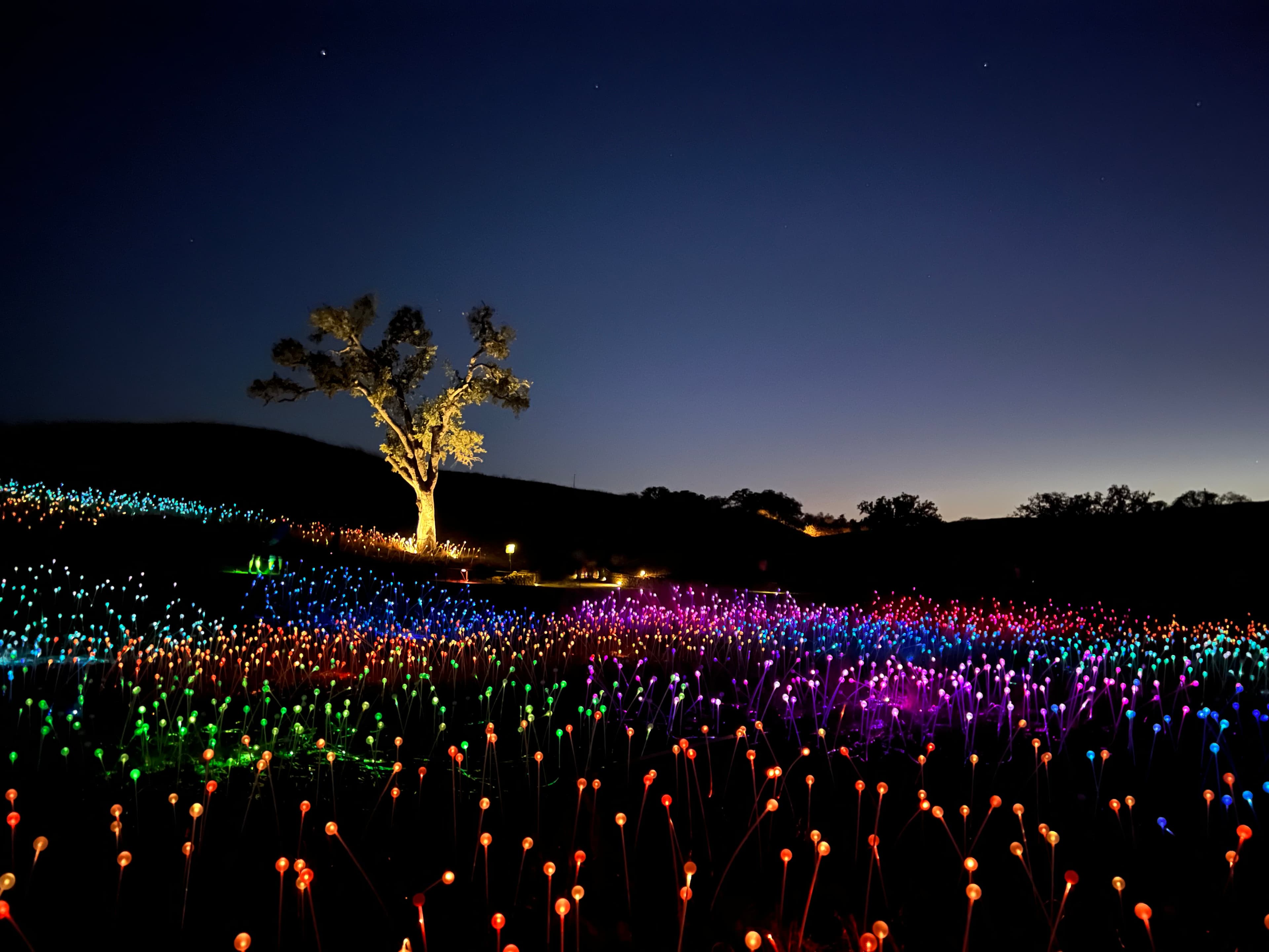 Night view of the valley