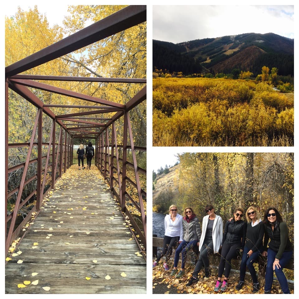 Autumn shots of trees and fields