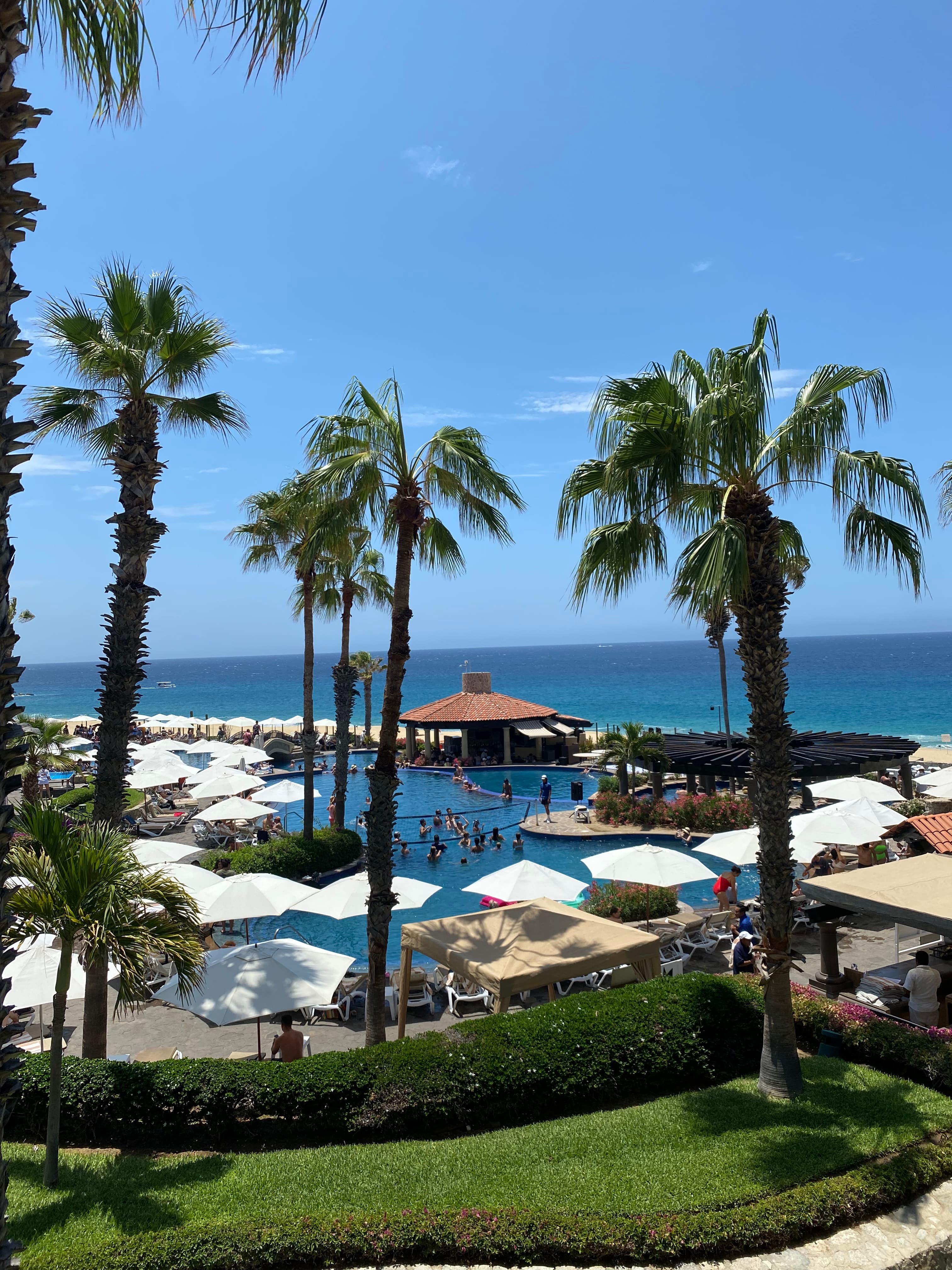 Palm trees towering over a resort patio with white umbrellas, a swimming pool and a building facing the ocean