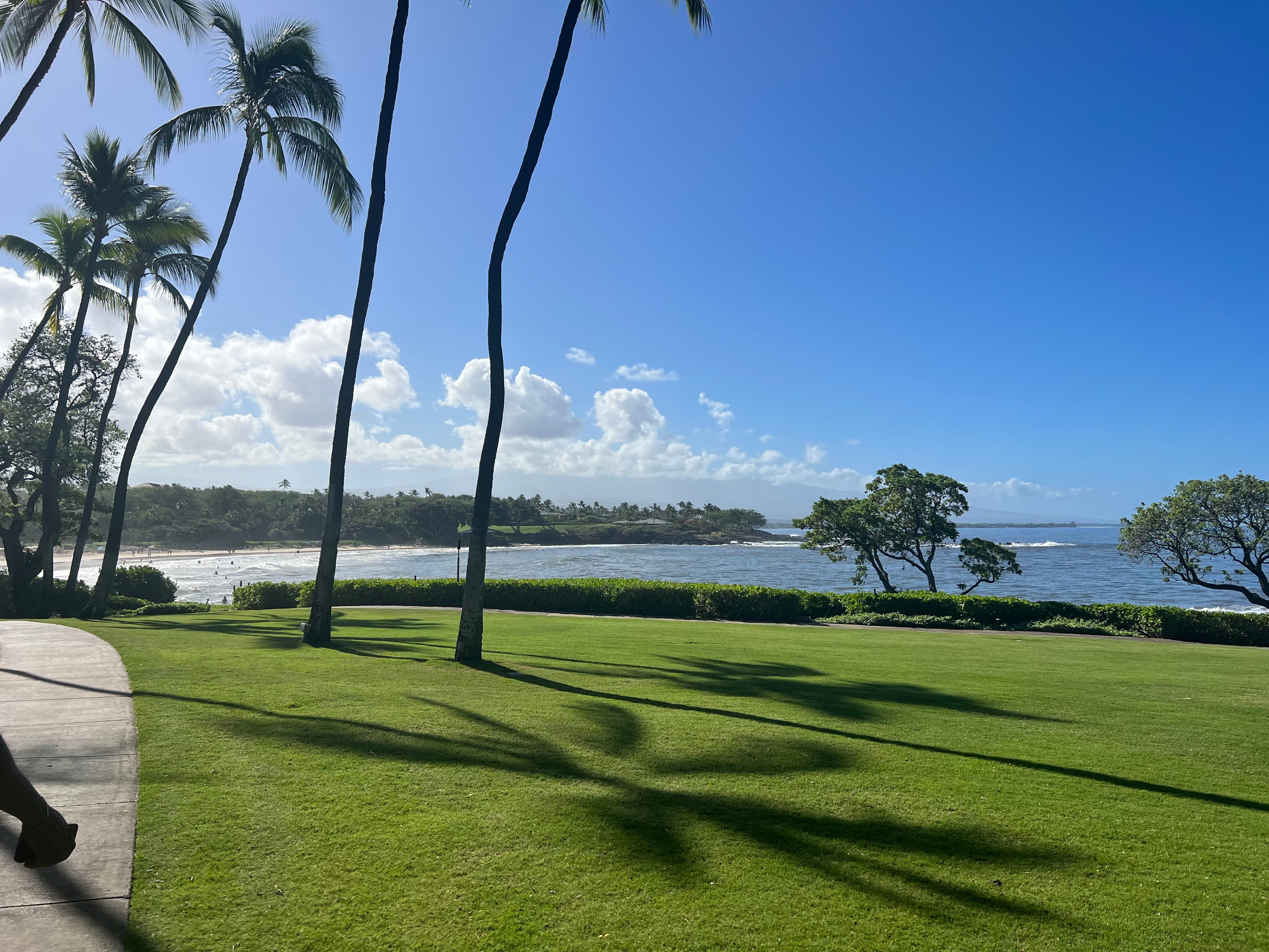 View of a green valley