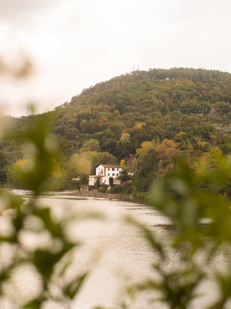 View of a house on a lush hill along the coast