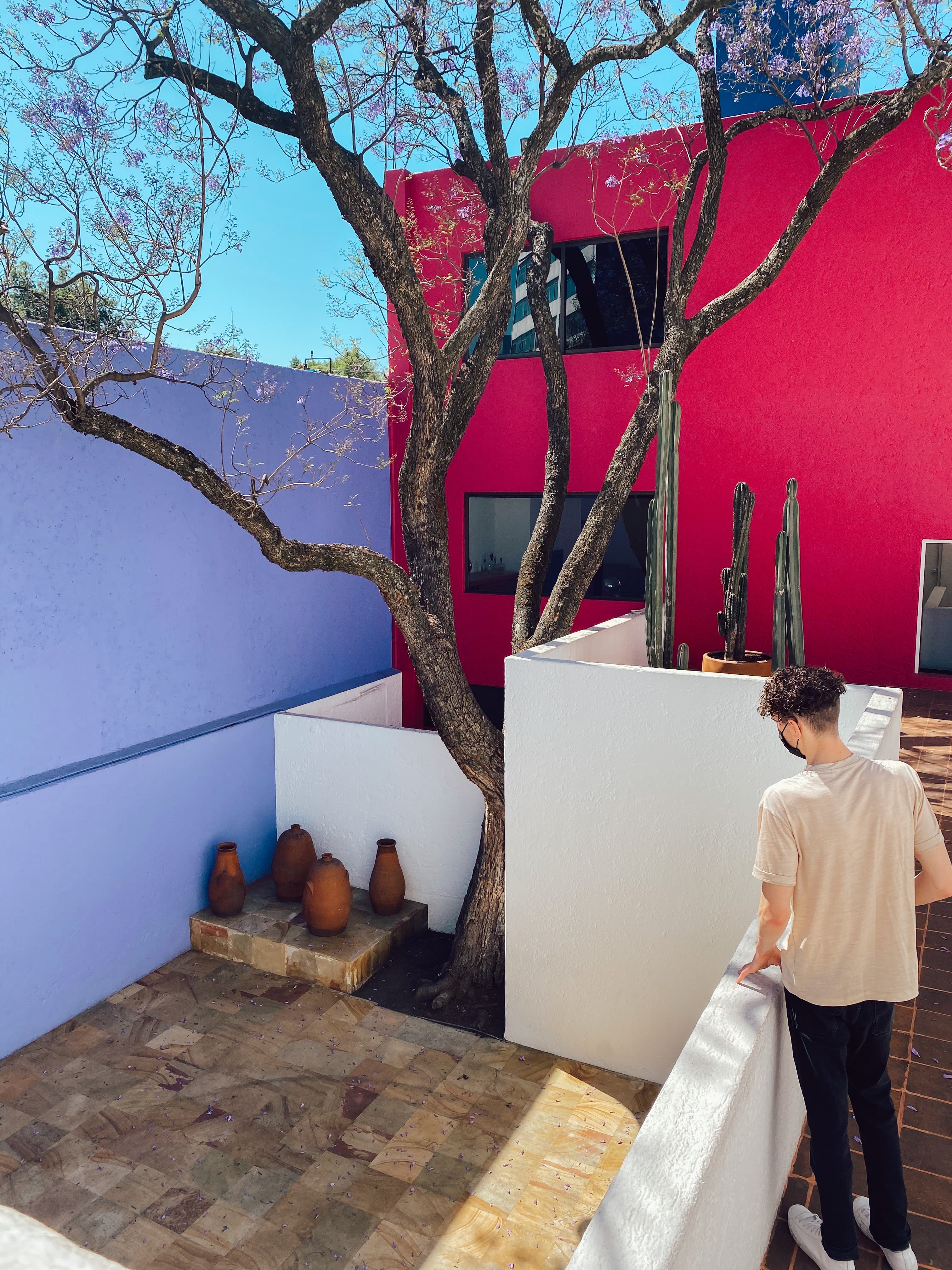 A person looking at colorful walls.