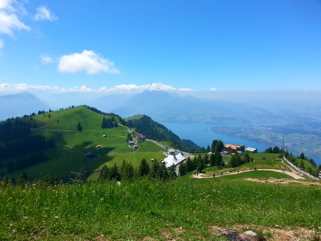 Image of a lush green farm