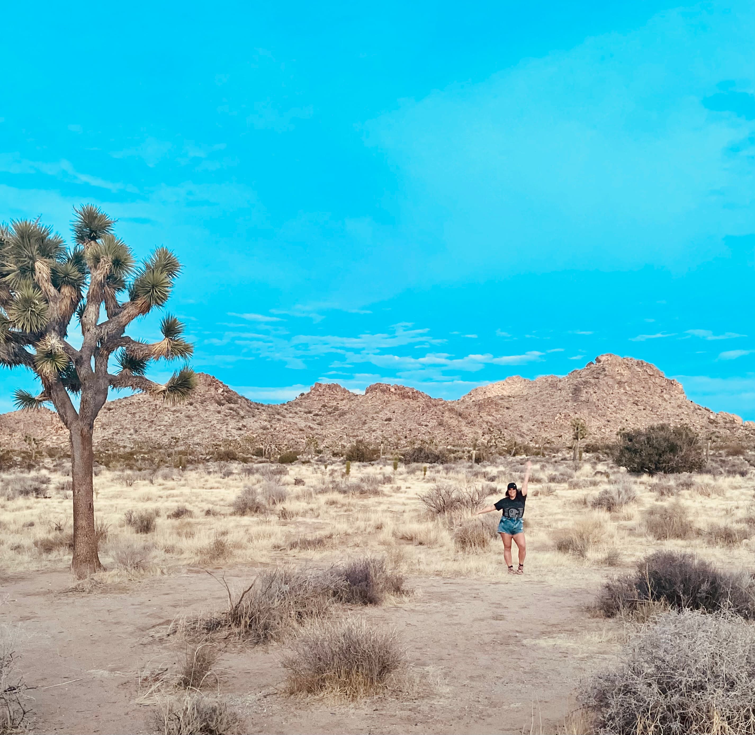 Out and about in the desert