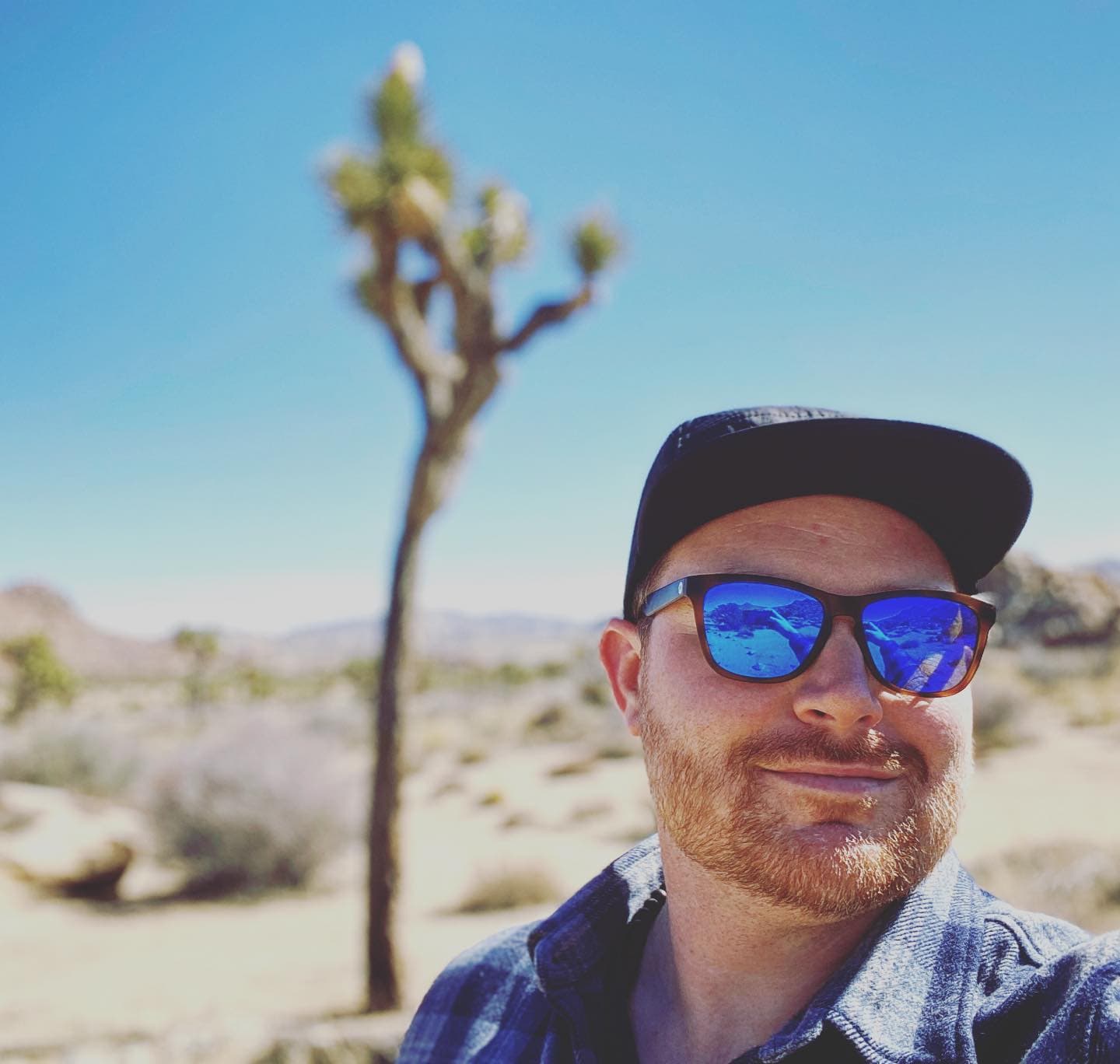 Exploring the Joshua Tree desert