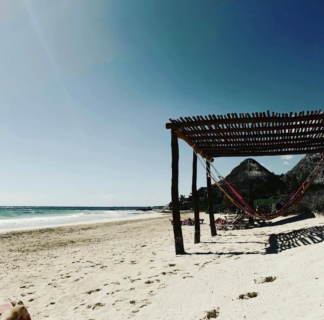 A beach with hammock.