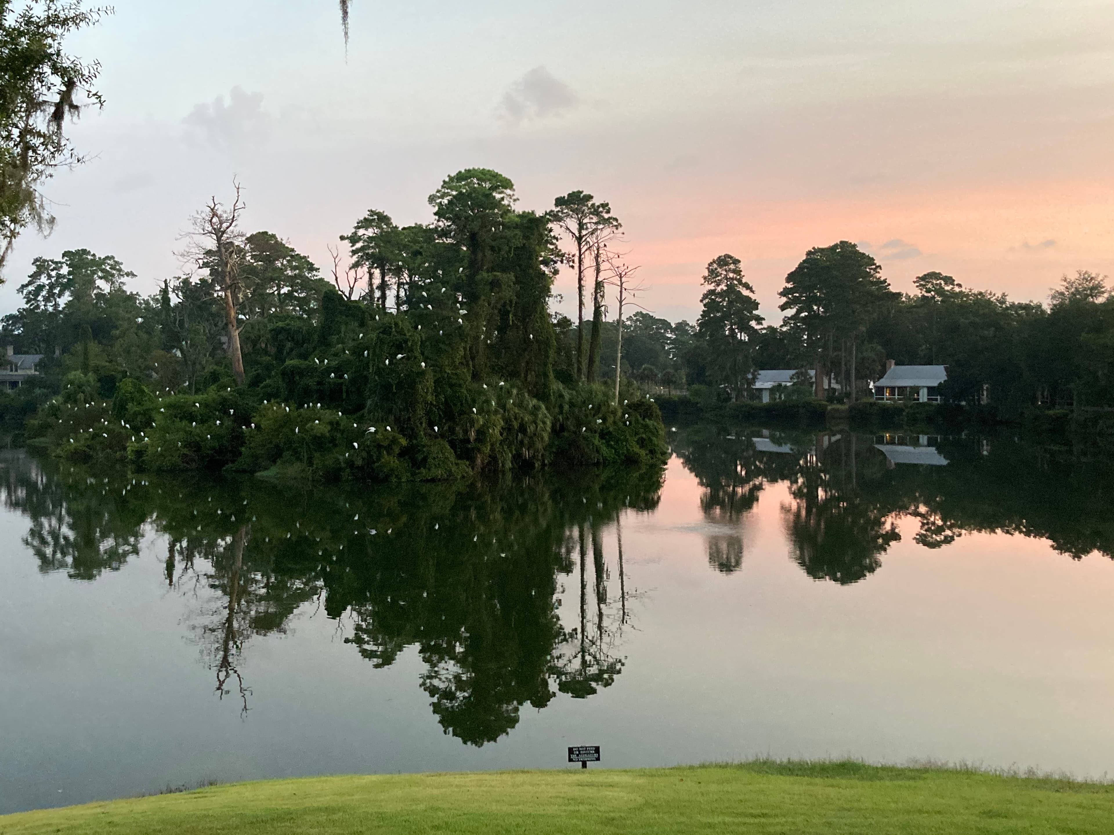 Picture of a lake with trees shadow