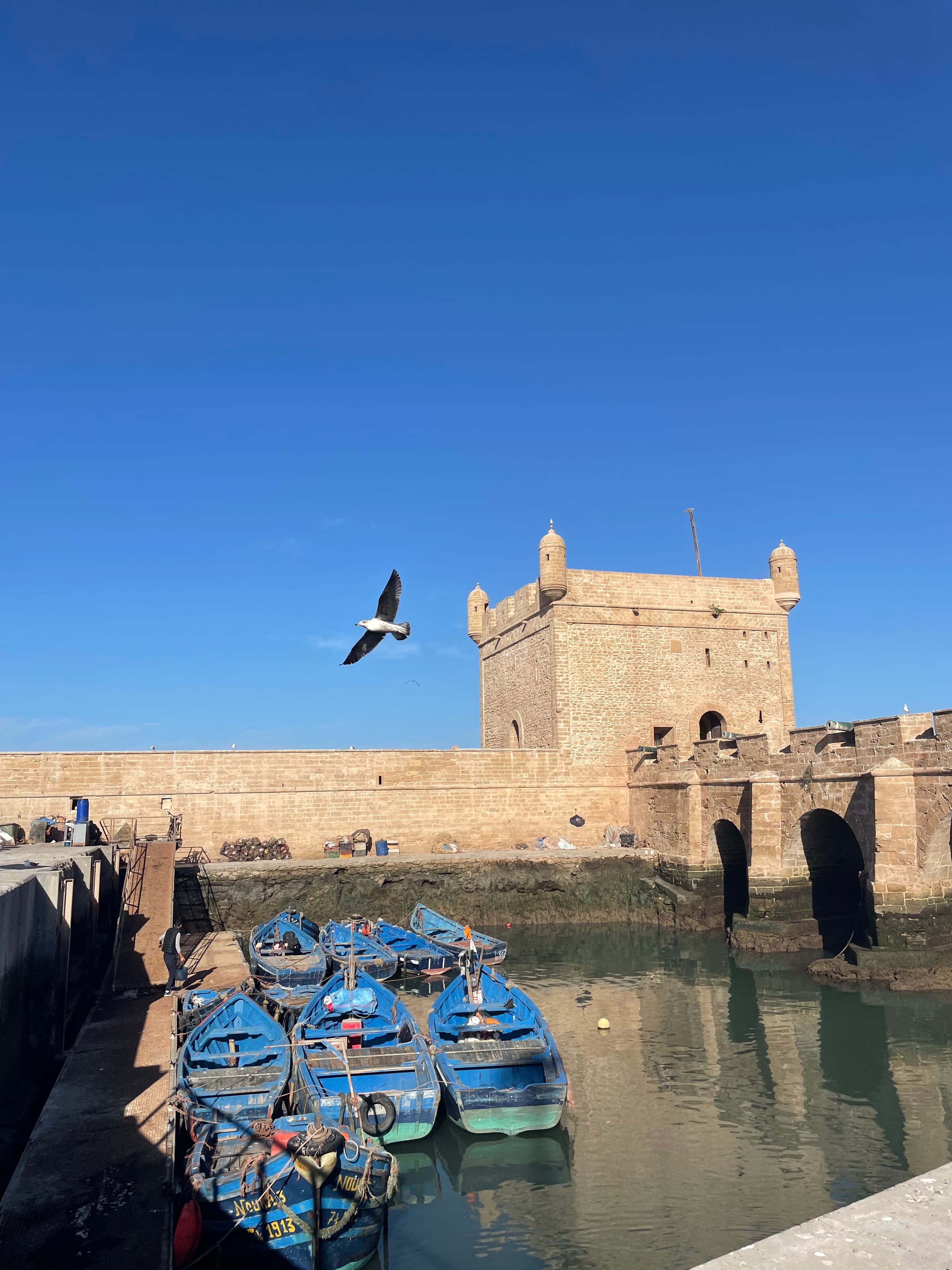 Blue fishing boats next to a dock outside of the city walls of Essaouria on the last day of a Morocco 7 day itinerary.